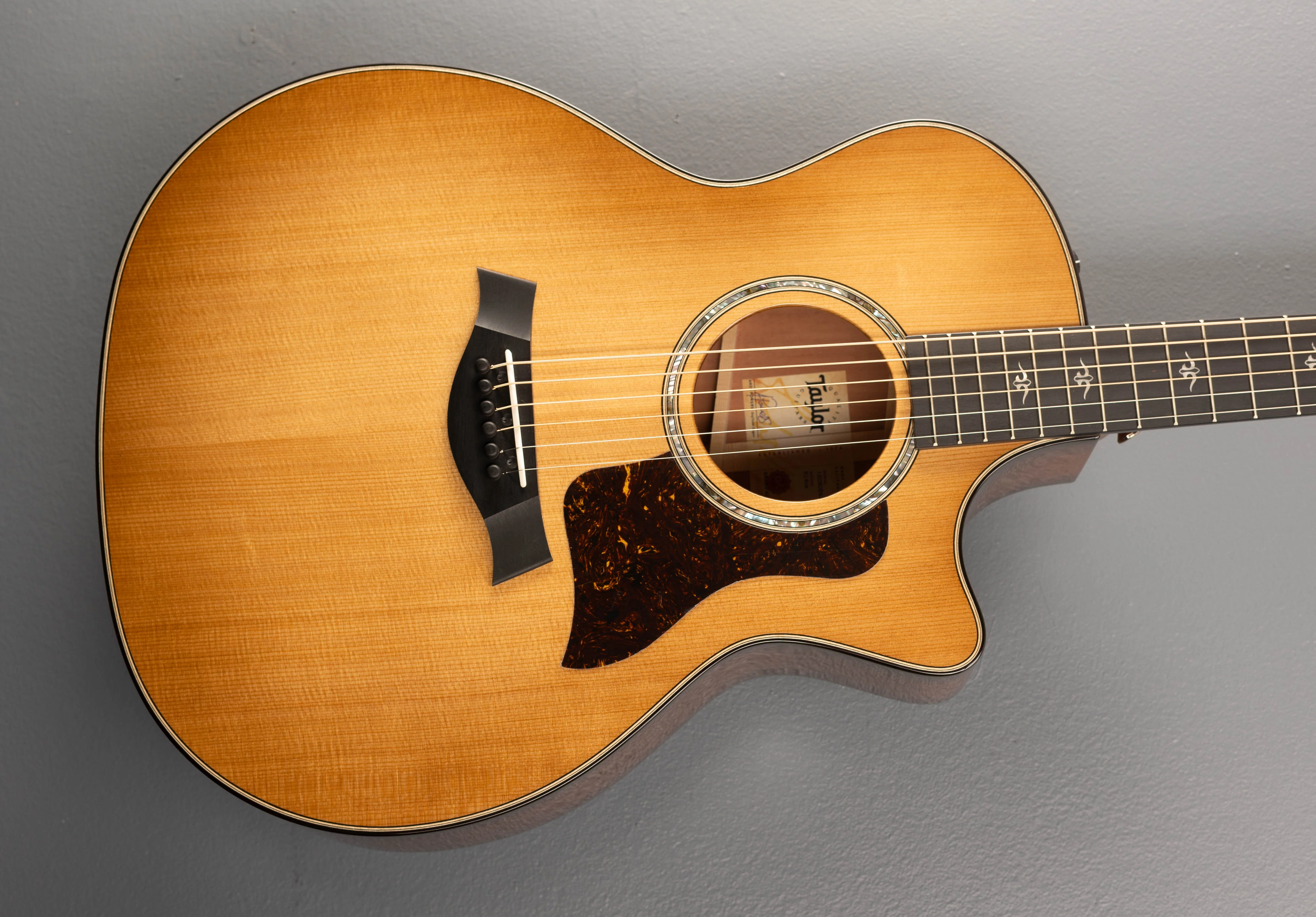2024 514CE - Urban Ironbark