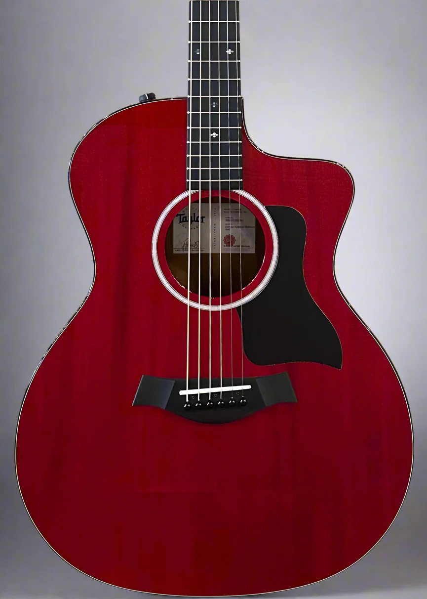 USED 224CE Plus Special Edition '25 - Image 2