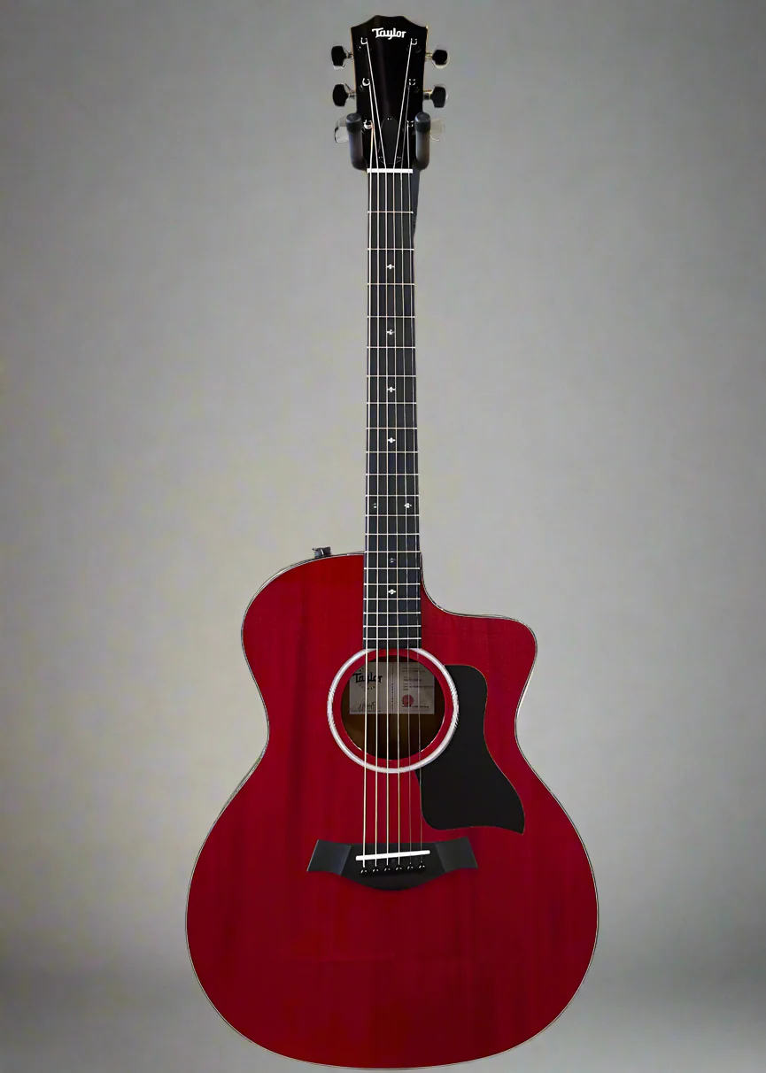 USED 224CE Plus Special Edition '25 - Image 3