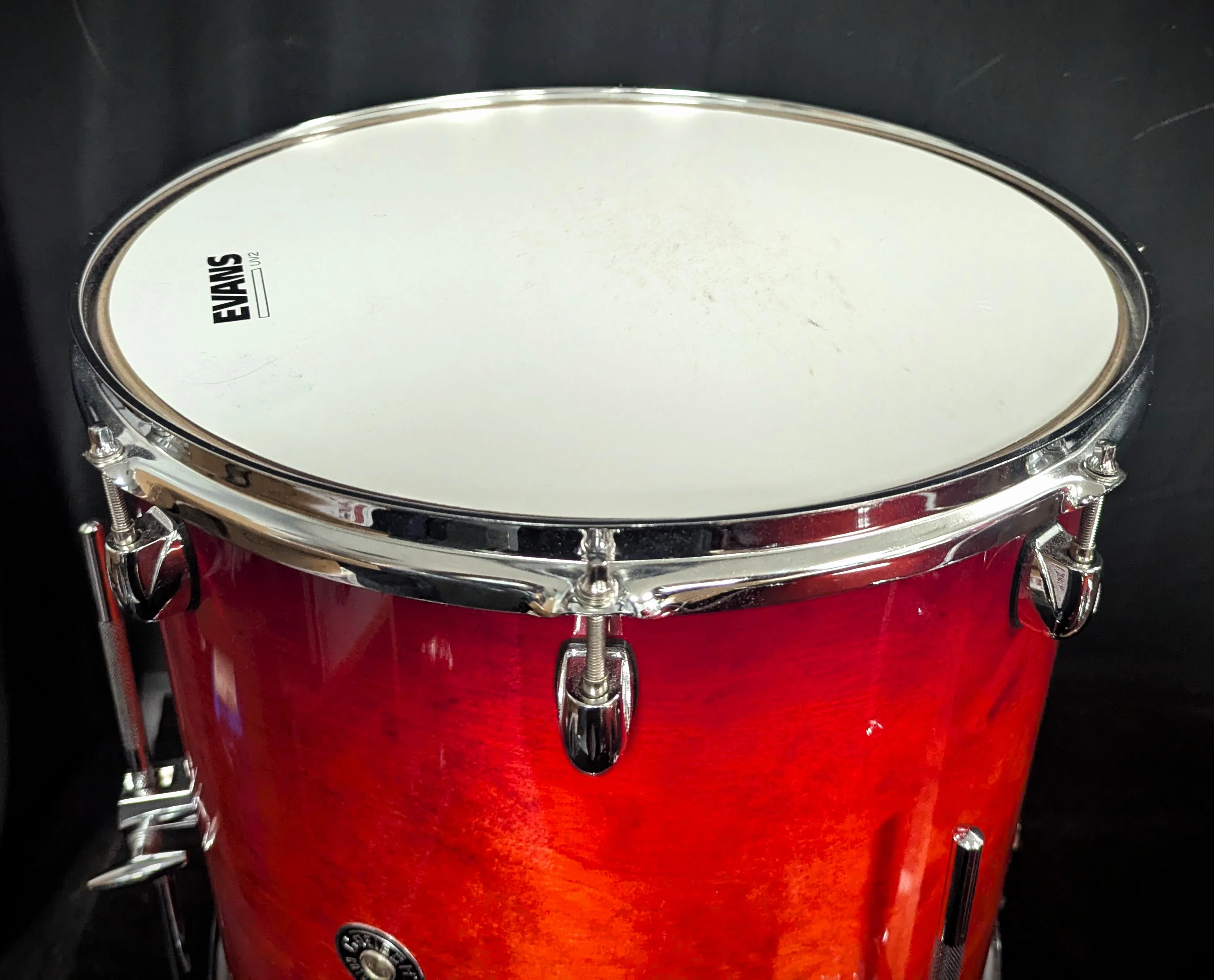 3-Piece Catalina Shell Pack - Image 7