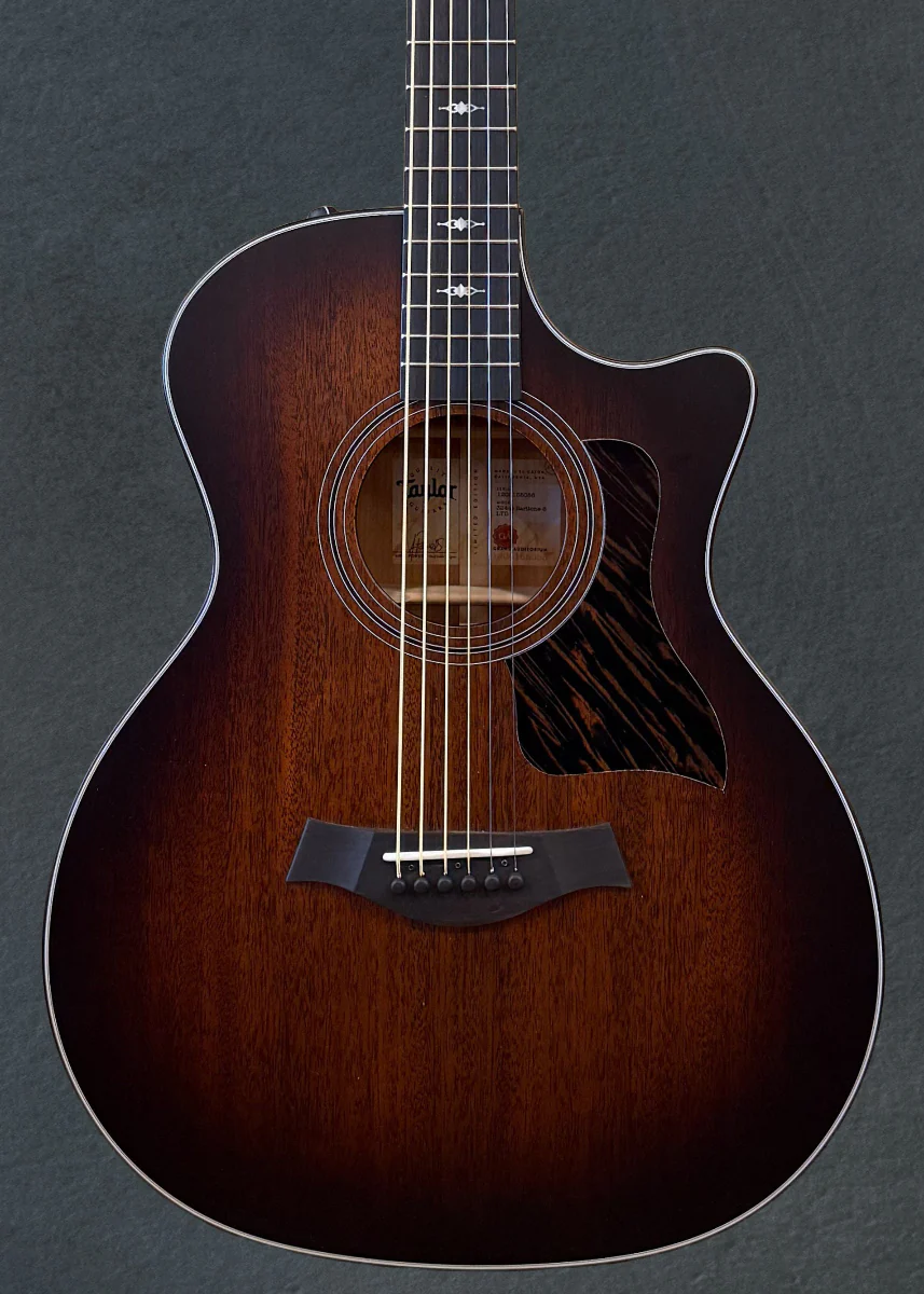 324ce Baritone-8 LTD - Image 2