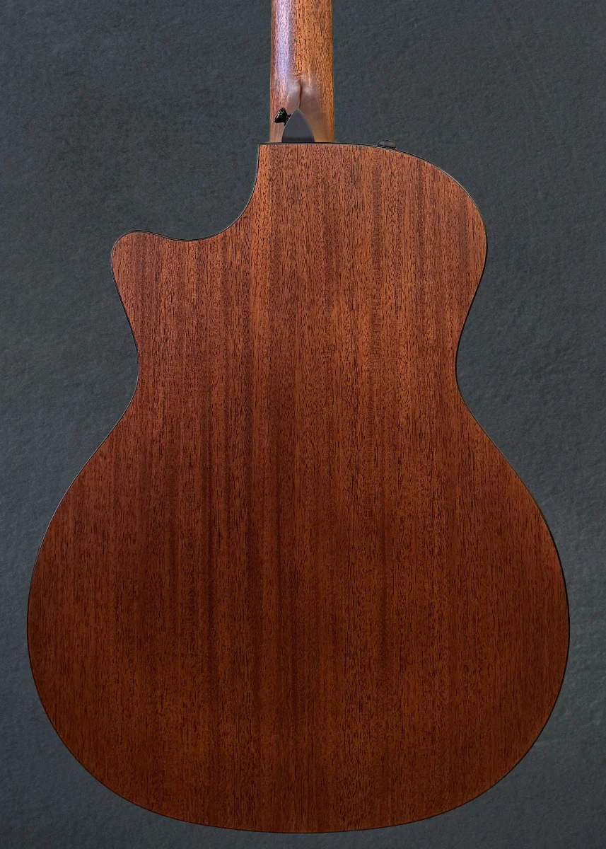 324ce Baritone-8 LTD - Image 4