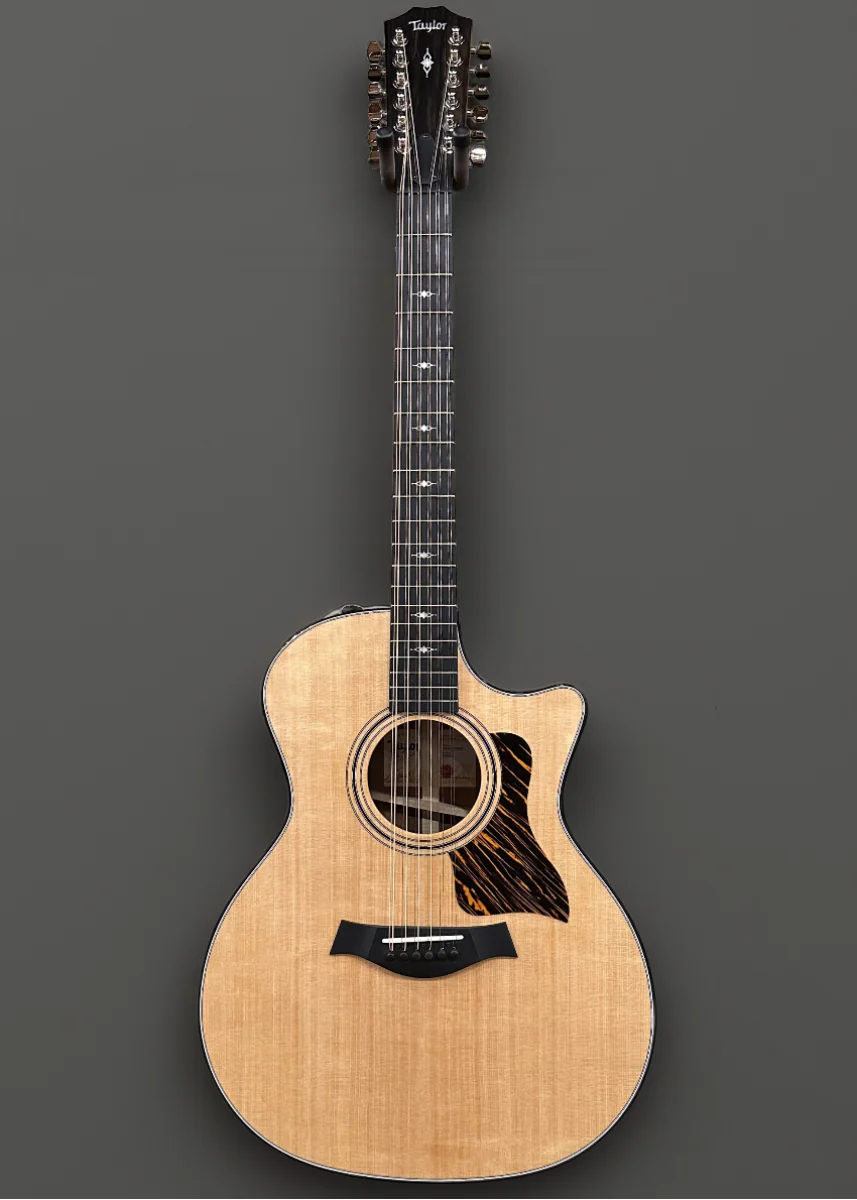 354CE 12 String - Image 3