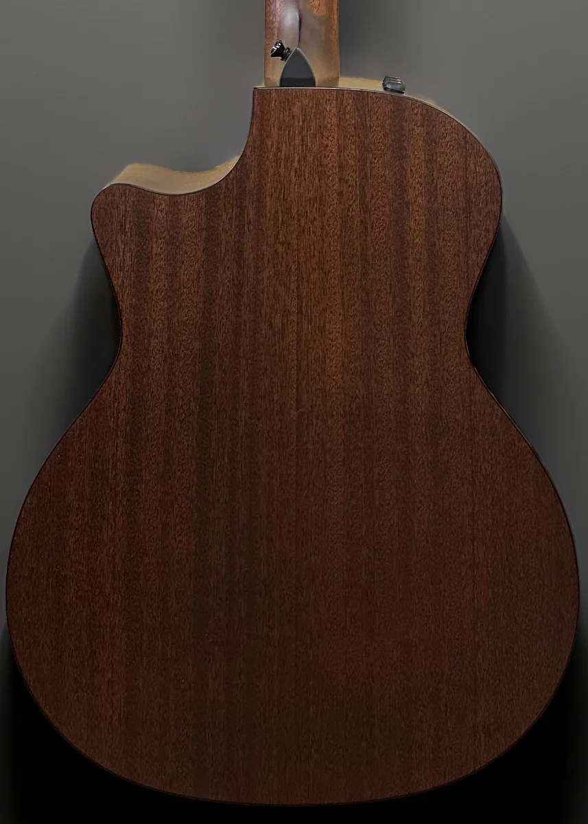 354CE 12 String - Image 4
