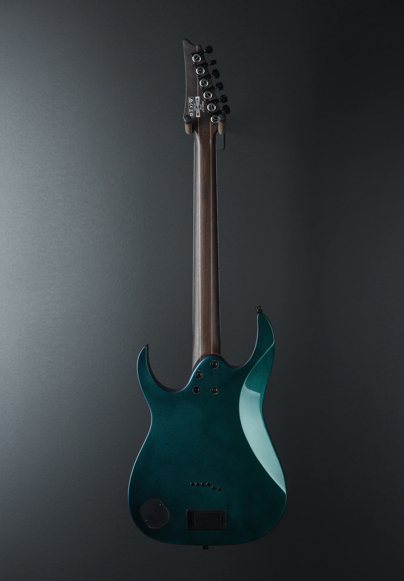 Axion Label RG631ALF - Blue Chameleon - Image 4