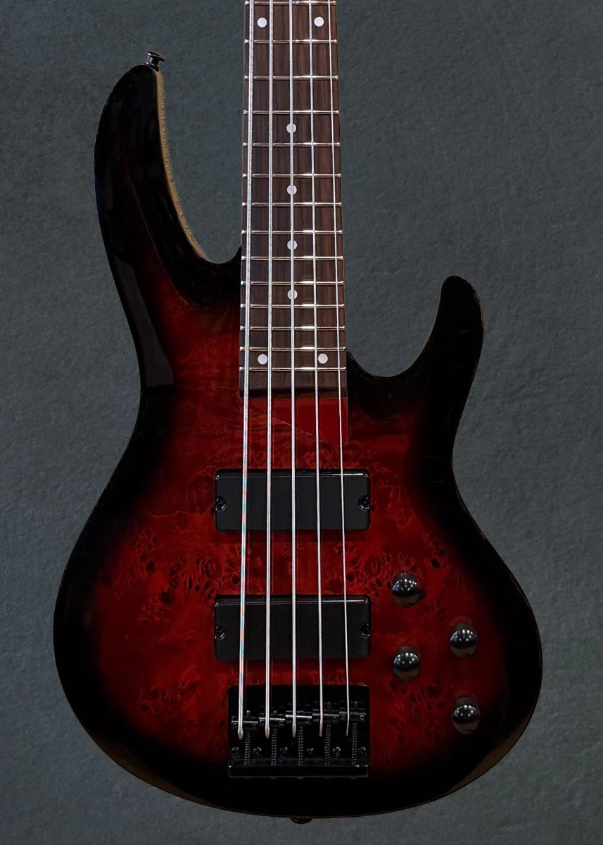 B-205DX 5-String Bass-Red Burst - Image 2