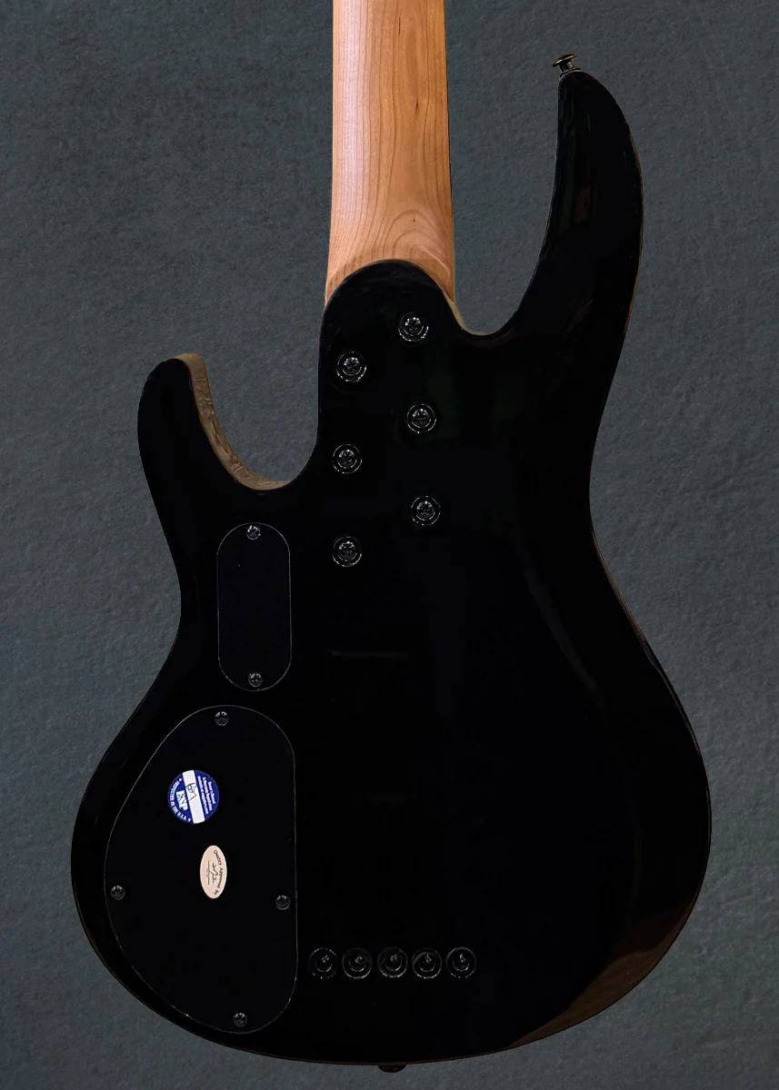 B-205DX 5-String Bass-Red Burst - Image 4