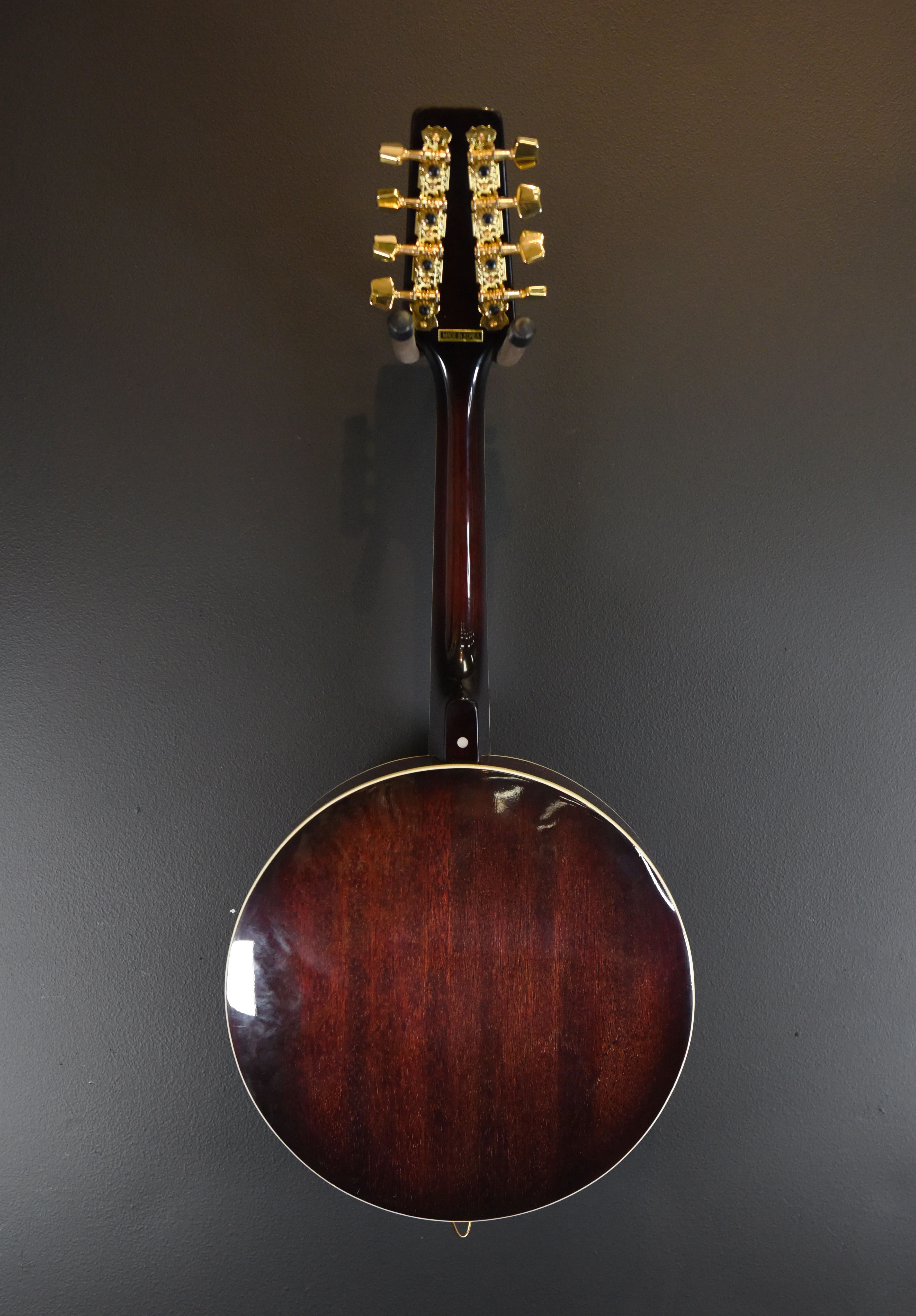 Banjolin, Recent - Image 3