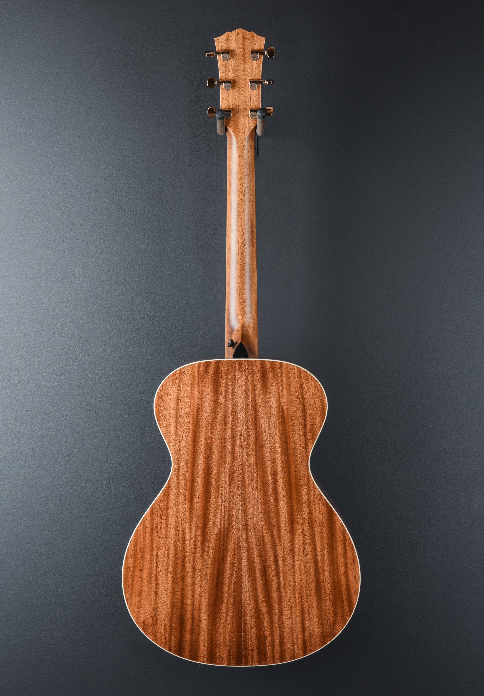 Ben Harper Gold Label 512E Special Edition - Image 5