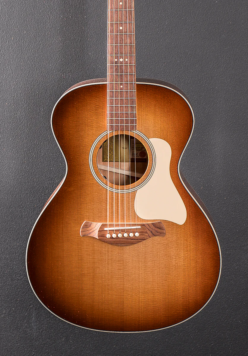Ben Harper Gold Label 512E Special Edition - Image 2