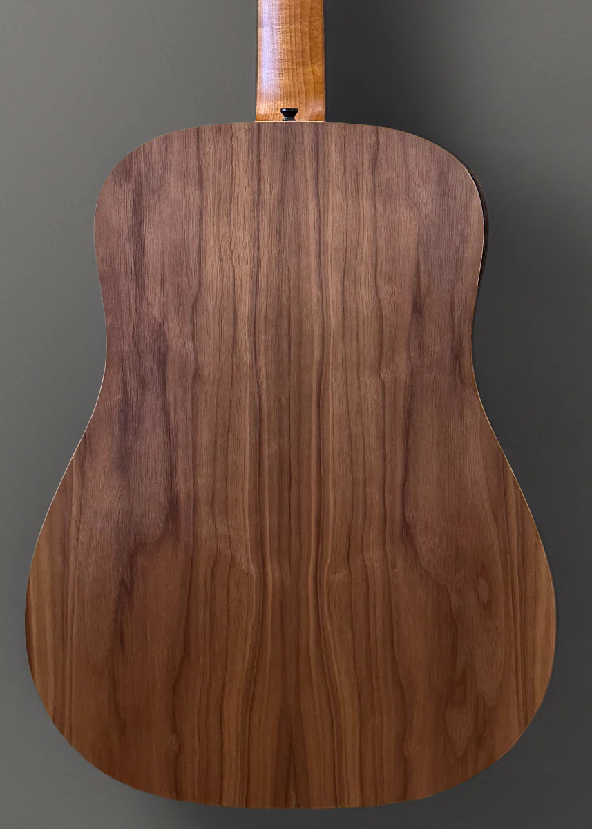 Big Baby Taylor (BBTe) - Image 4