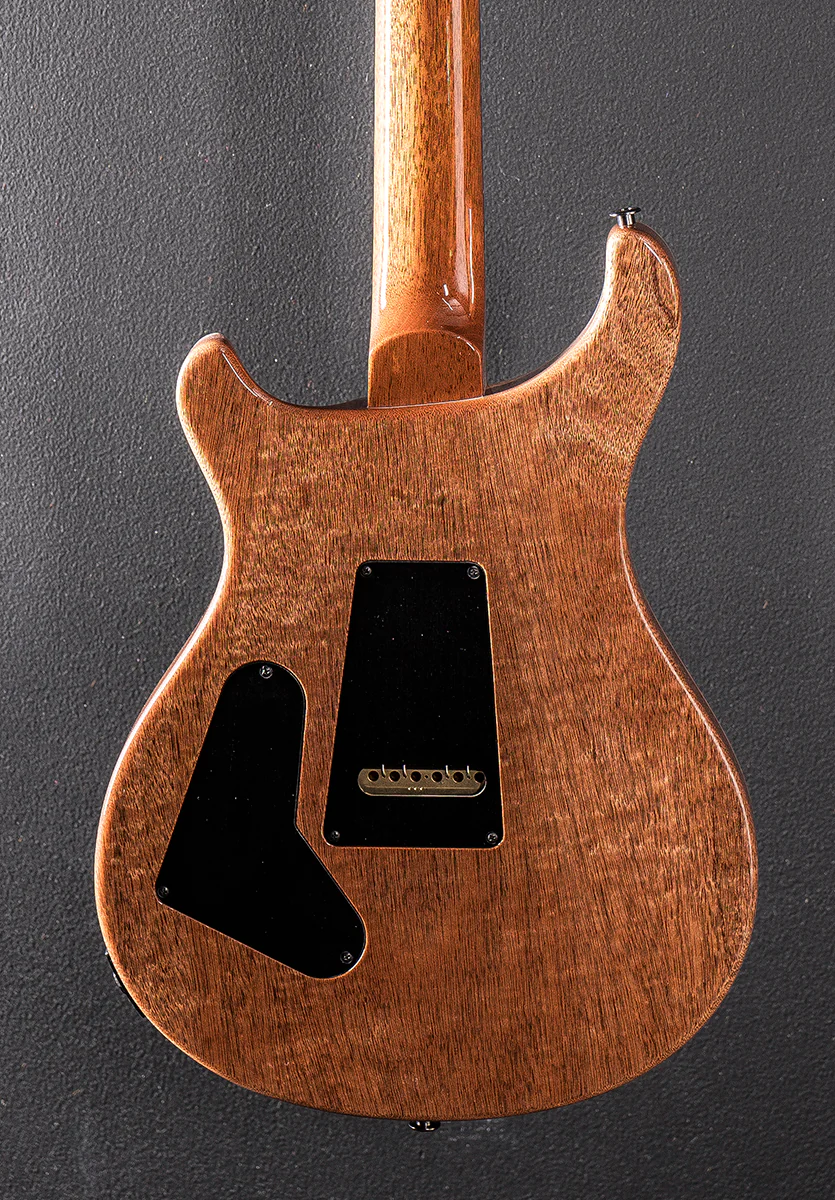 Custom 24 Semi-Hollow Artist Limited Edition - Faded Indigo - Image 4