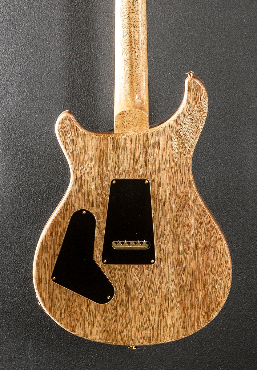 Custom 24 Semi-Hollow Wood Library Limited - Eriza Verde Smokeburst w/Korina - Image 4