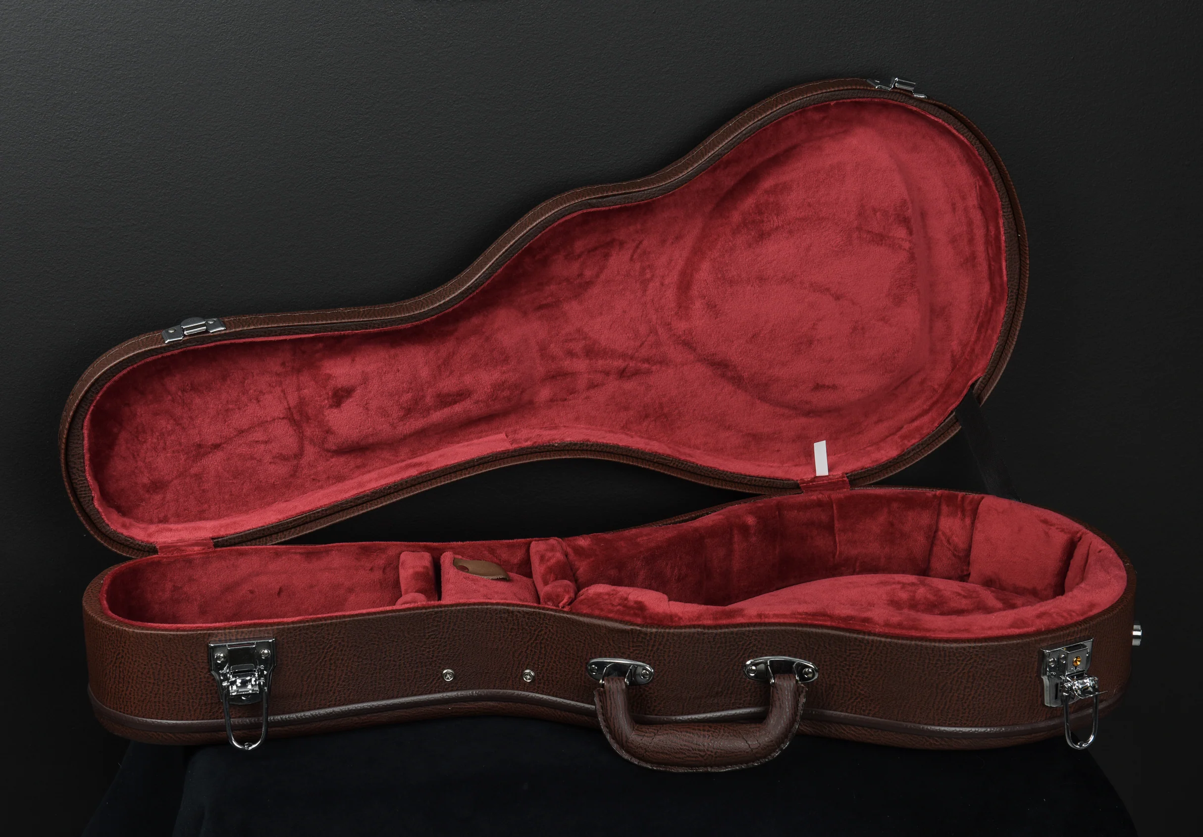 Deluxe Mandolin Hard Case - Image 2