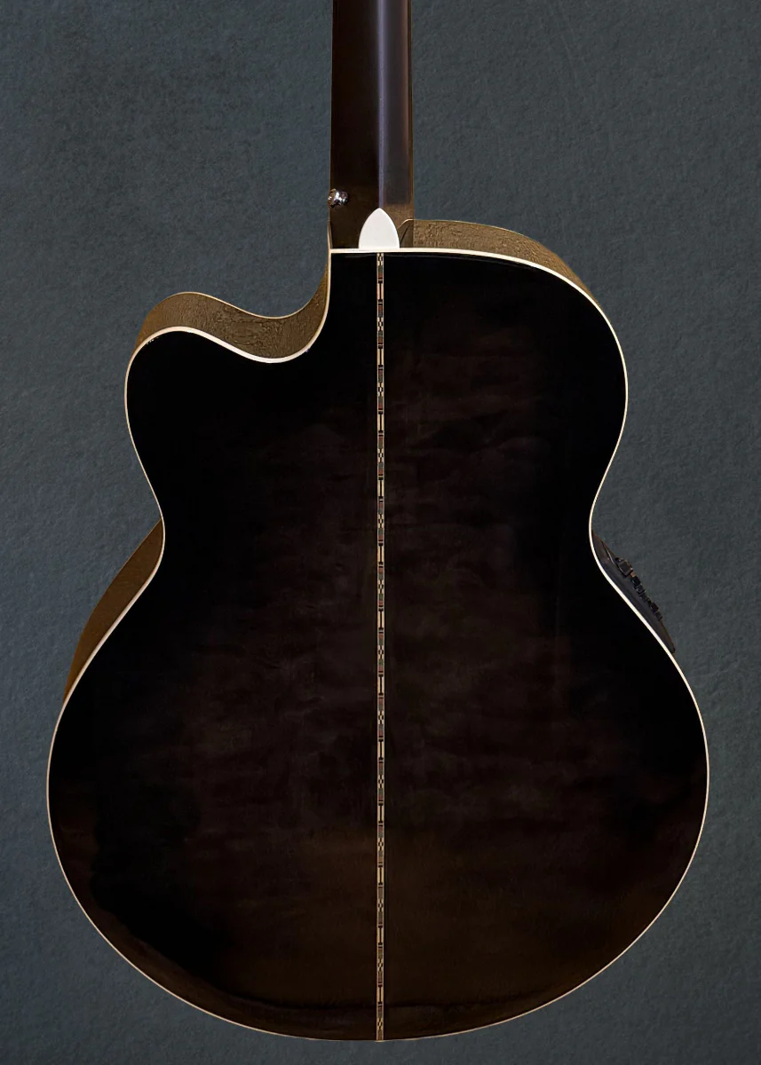 Dragonfly 4 Fretless  Bass - Smoke Burst - Image 4