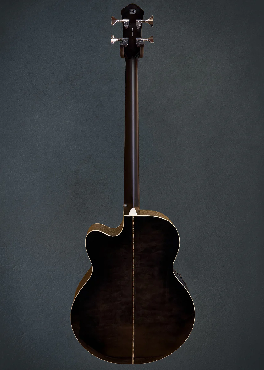 Dragonfly 4 Fretless  Bass - Smoke Burst - Image 5