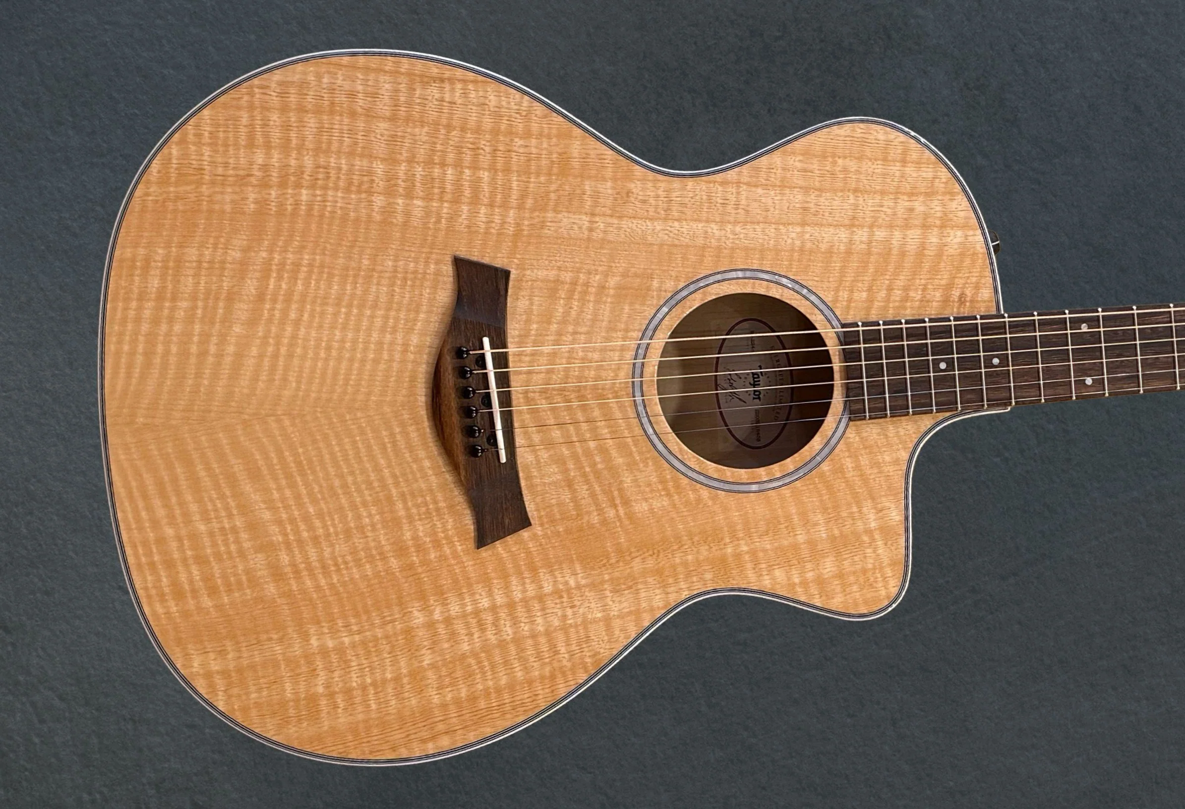 USED EG-224ce '25