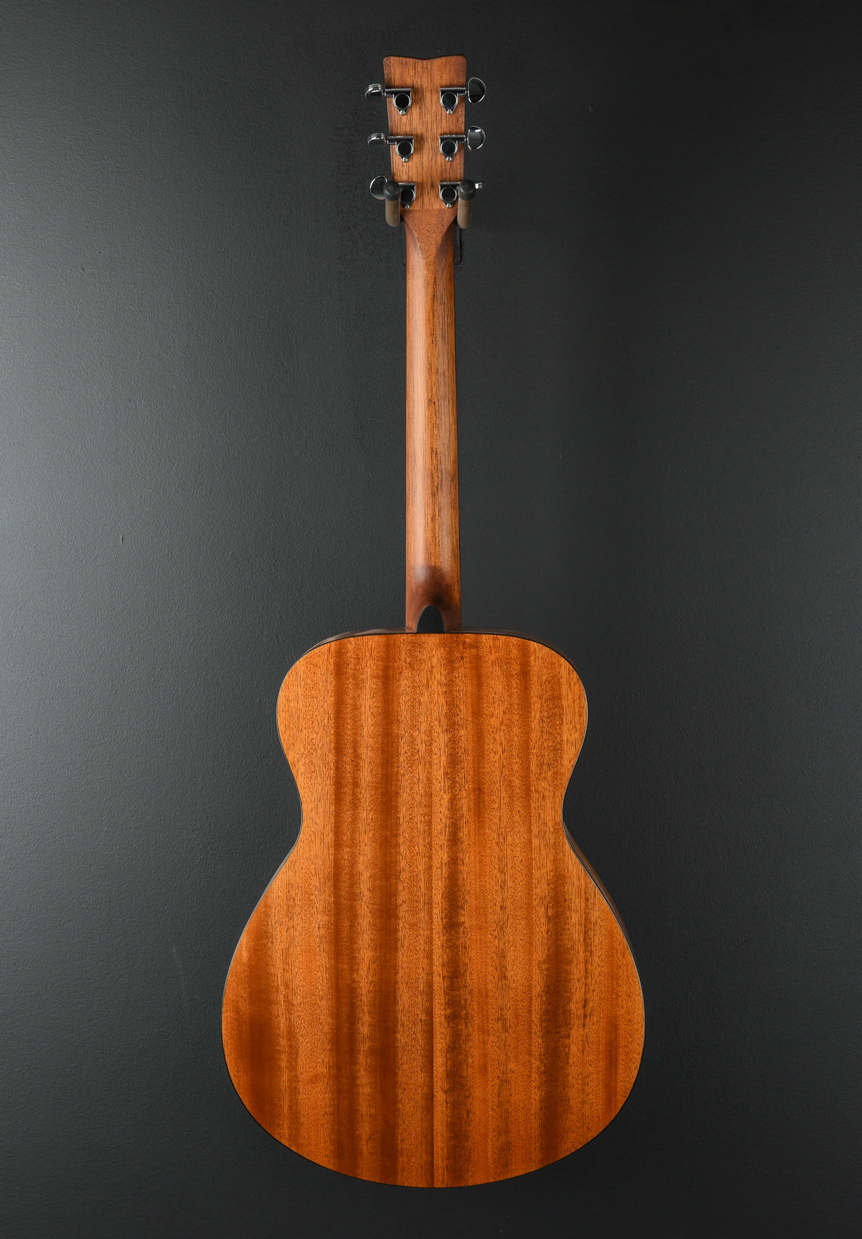FS800 '24 - Image 5