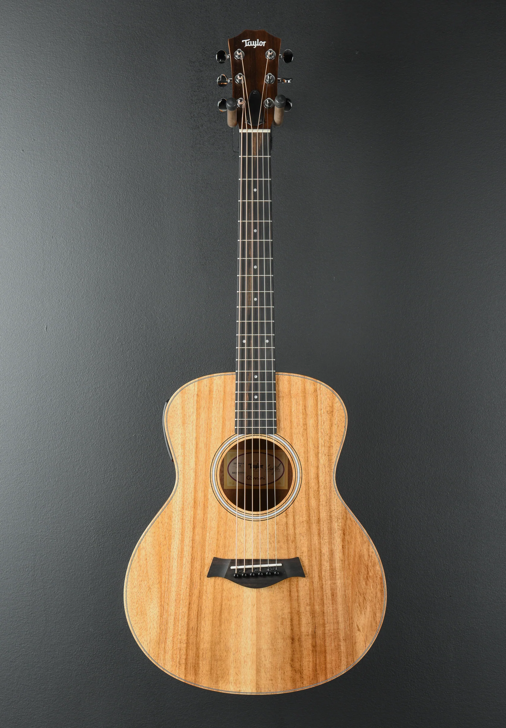 GS Mini-e Koa - Image 3