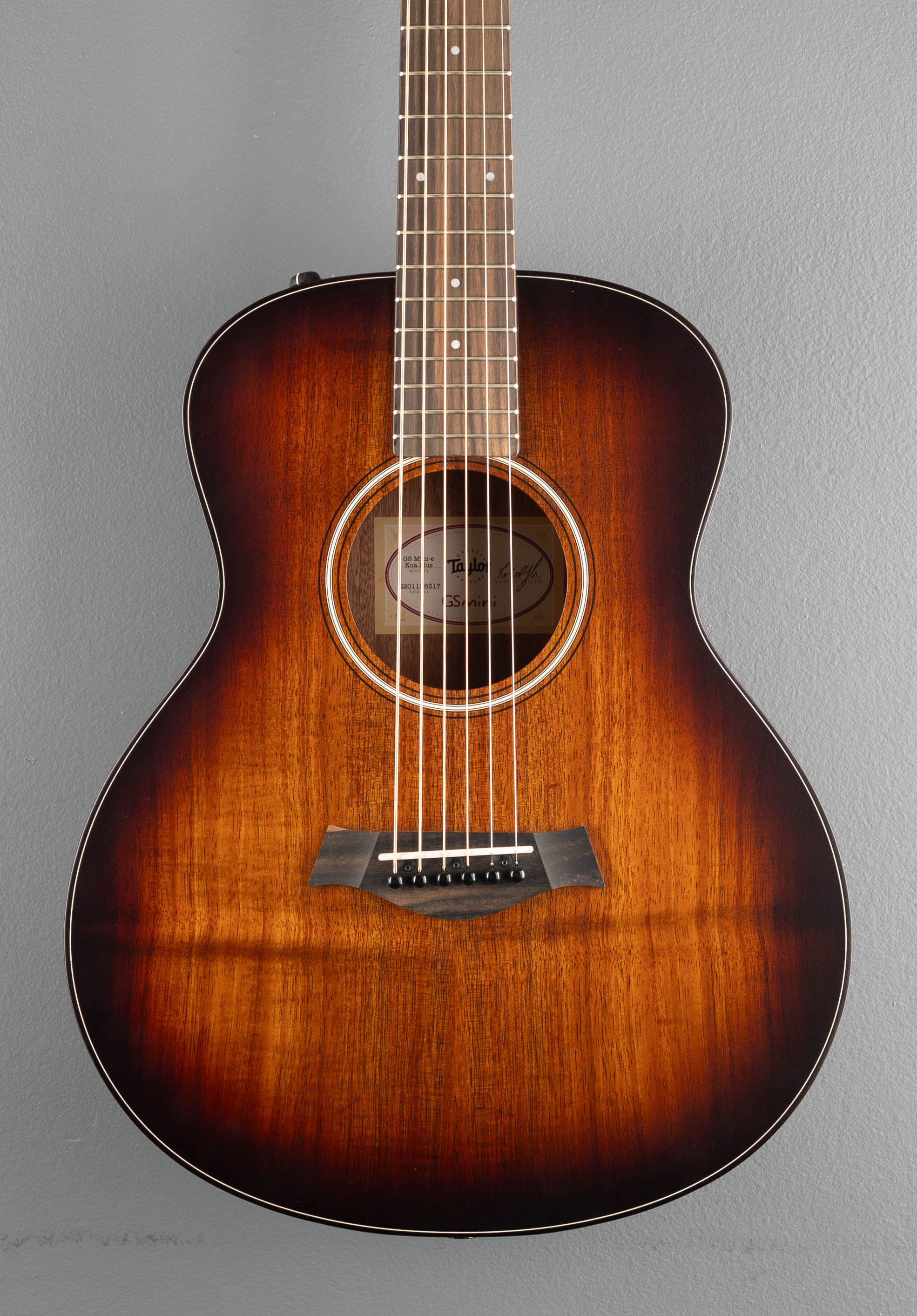 USED GS Mini-E Koa Plus '26 - Image 2