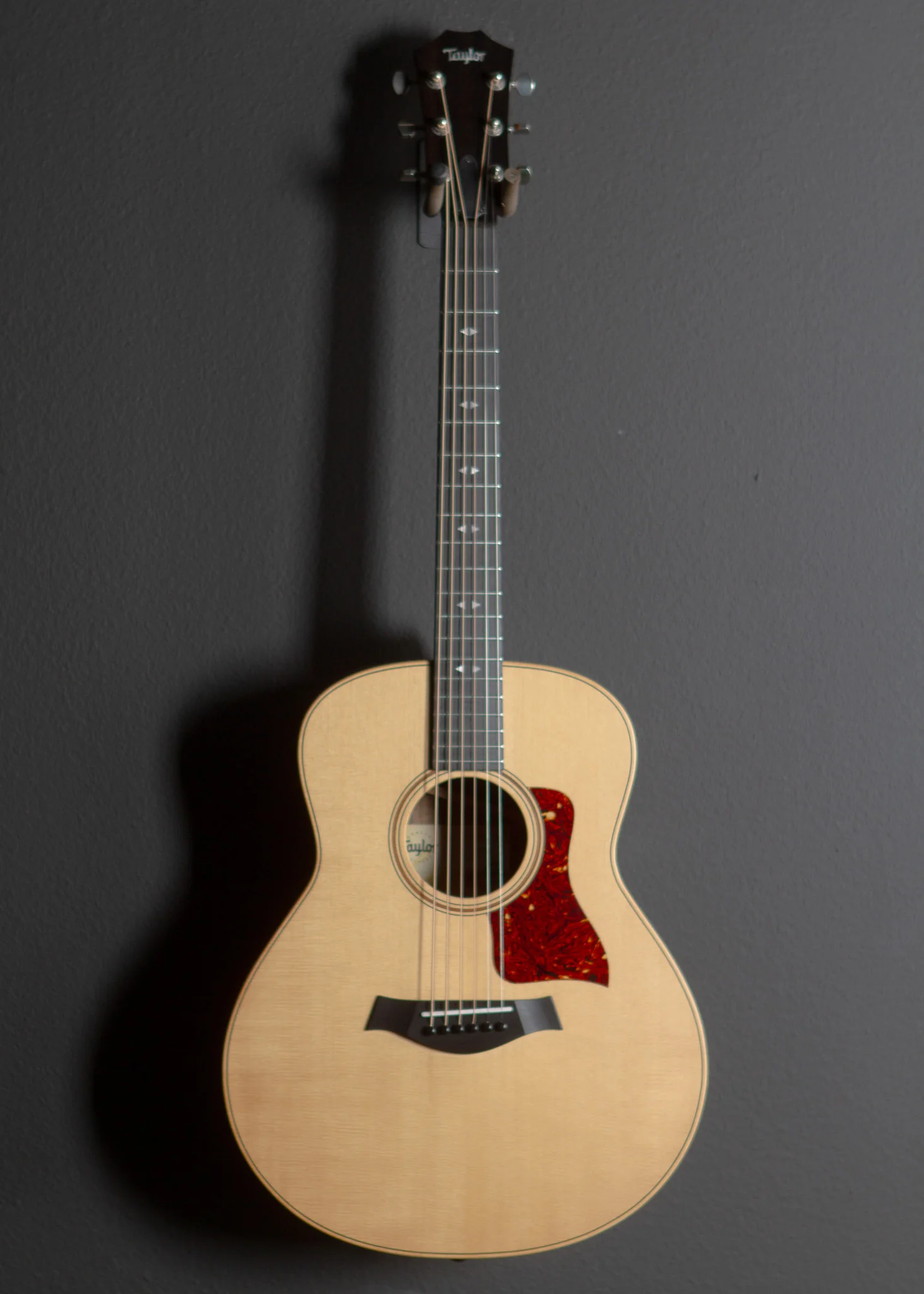 USED GT Urban Ash, '25 - Image 2