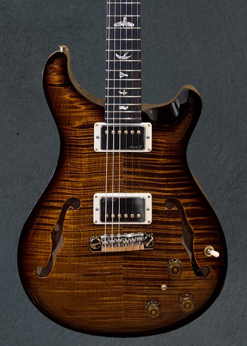Hollowbody II Piezo 10 Top - Black Gold Wraparound Burst - Image 2