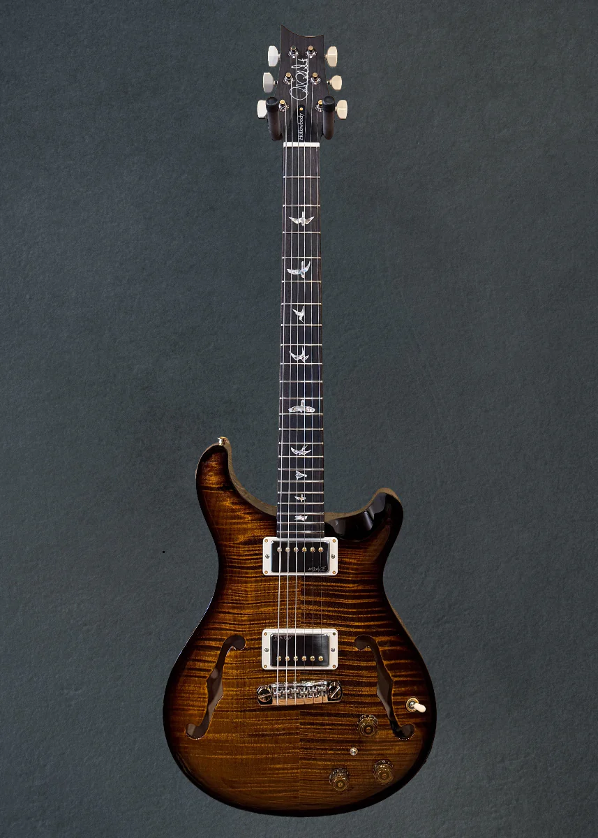 Hollowbody II Piezo 10 Top - Black Gold Wraparound Burst - Image 3