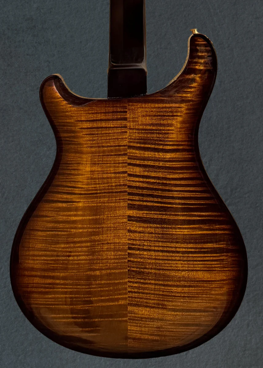Hollowbody II Piezo 10 Top - Black Gold Wraparound Burst - Image 4