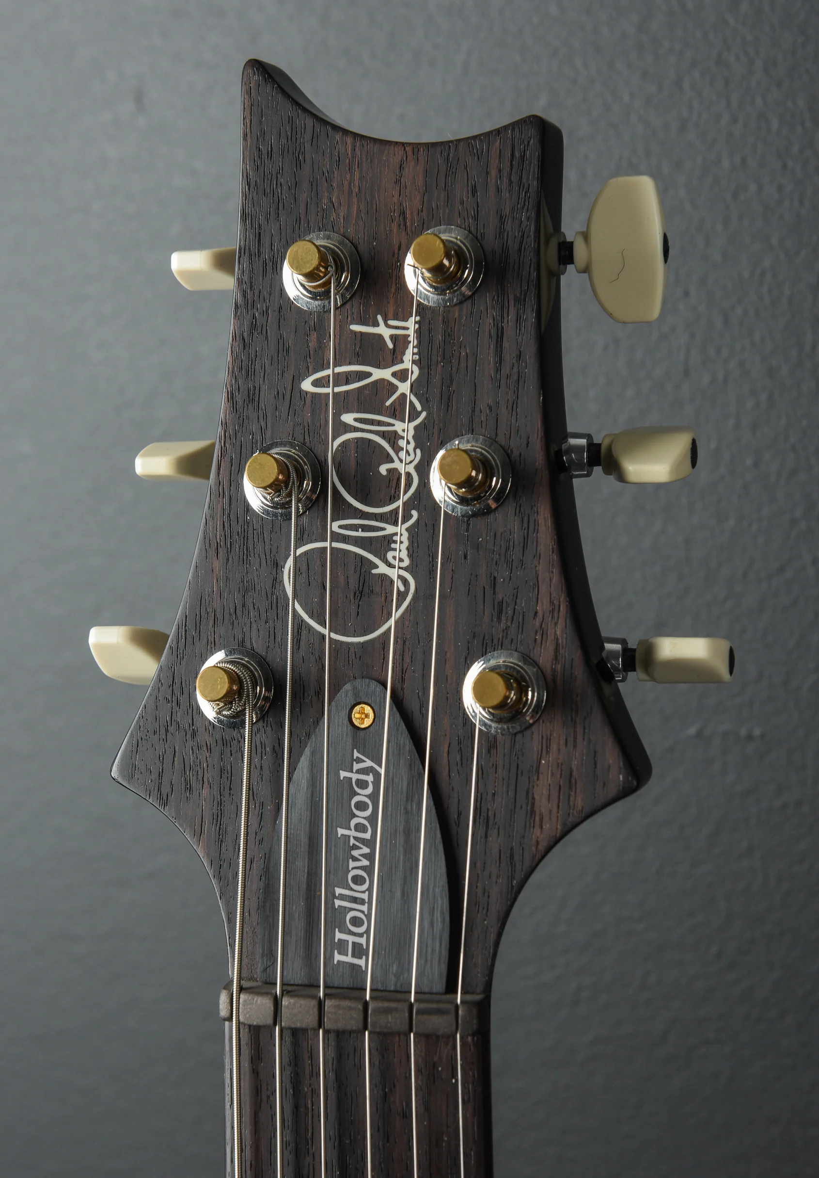 Hollowbody II Piezo 10 Top - Image 6
