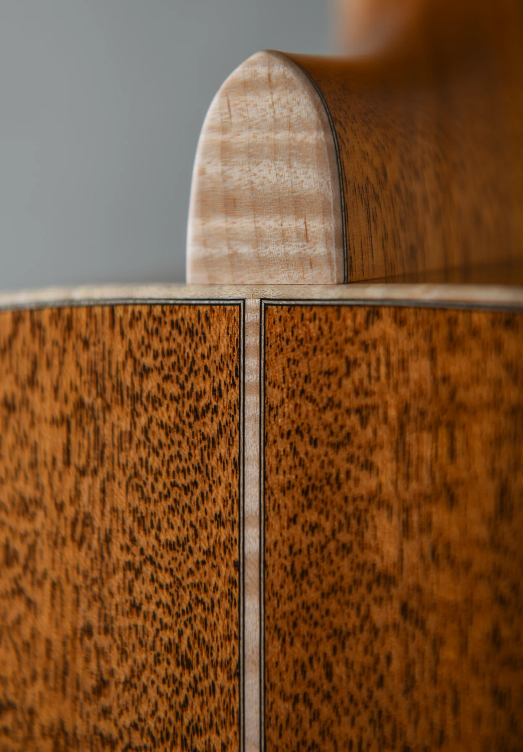 Honduran Mahogany Parlor 14 Fret - Image 10