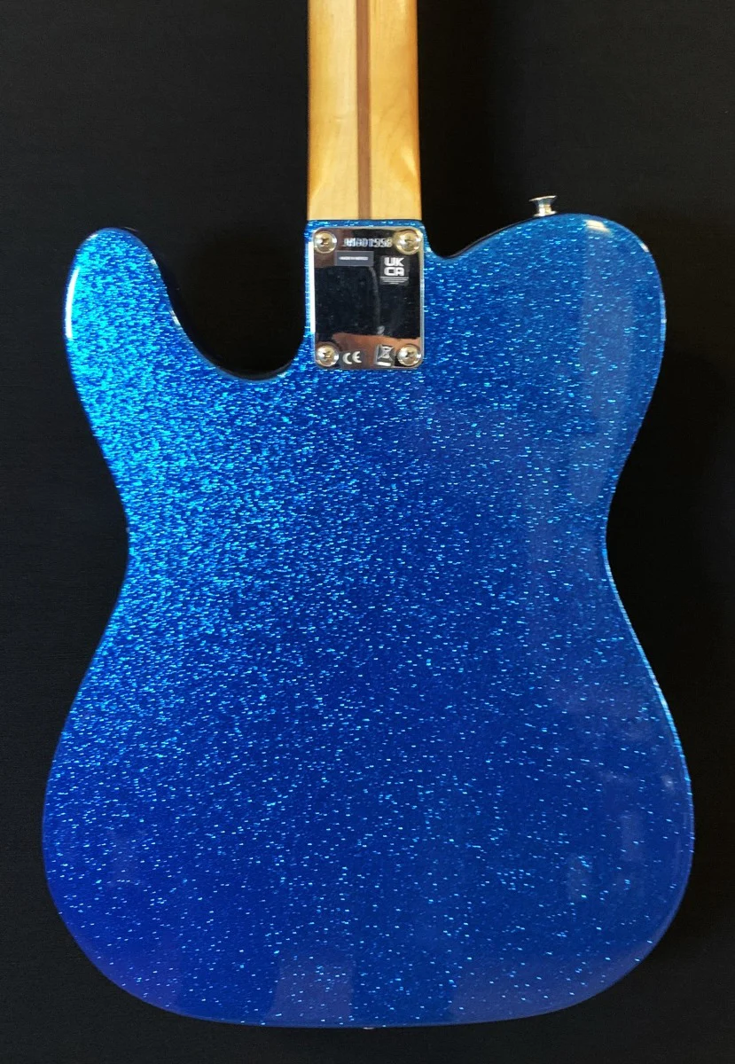 J Mascis Telecaster - Image 4