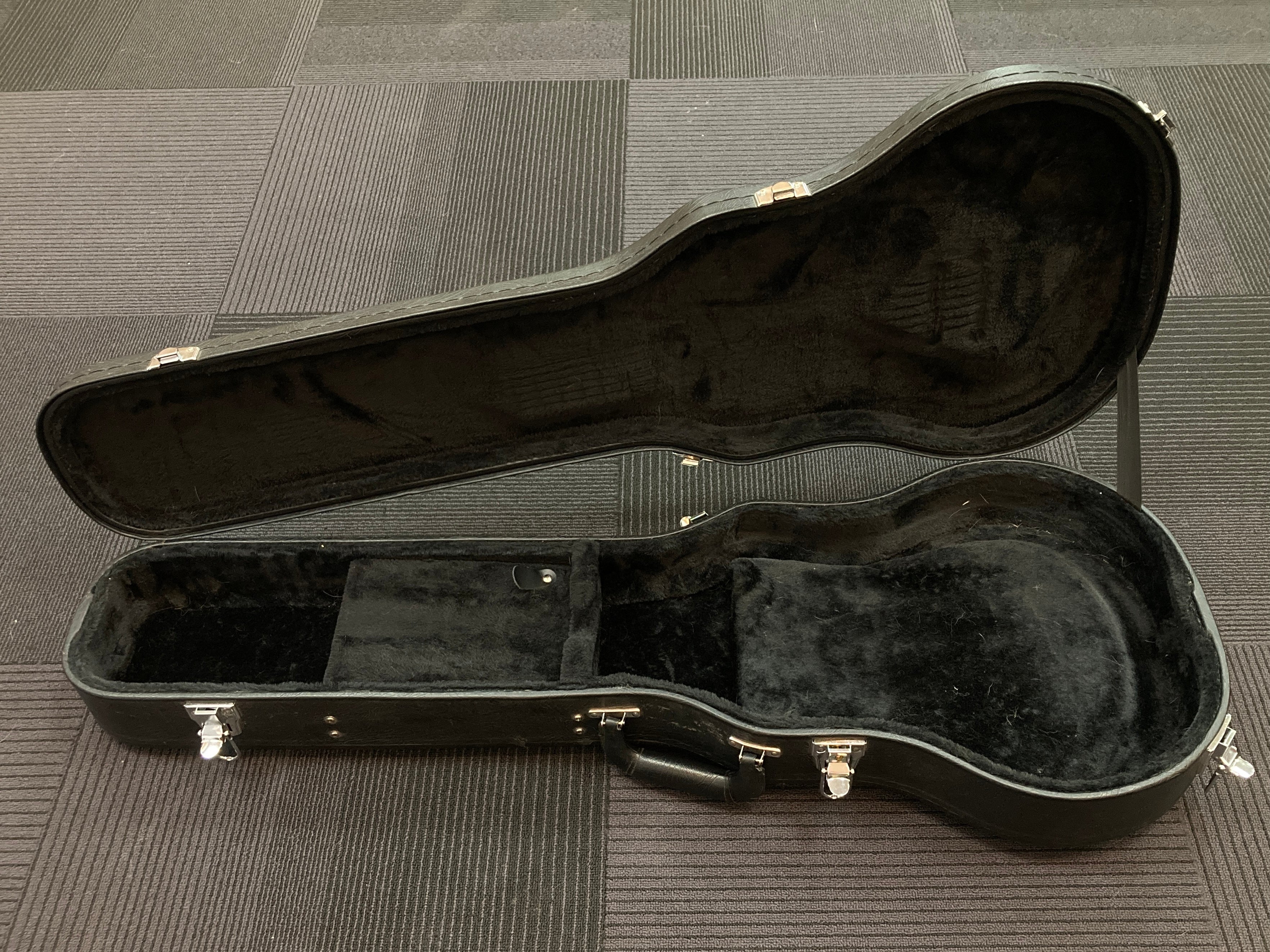 Les Paul-Fit Case, Recent