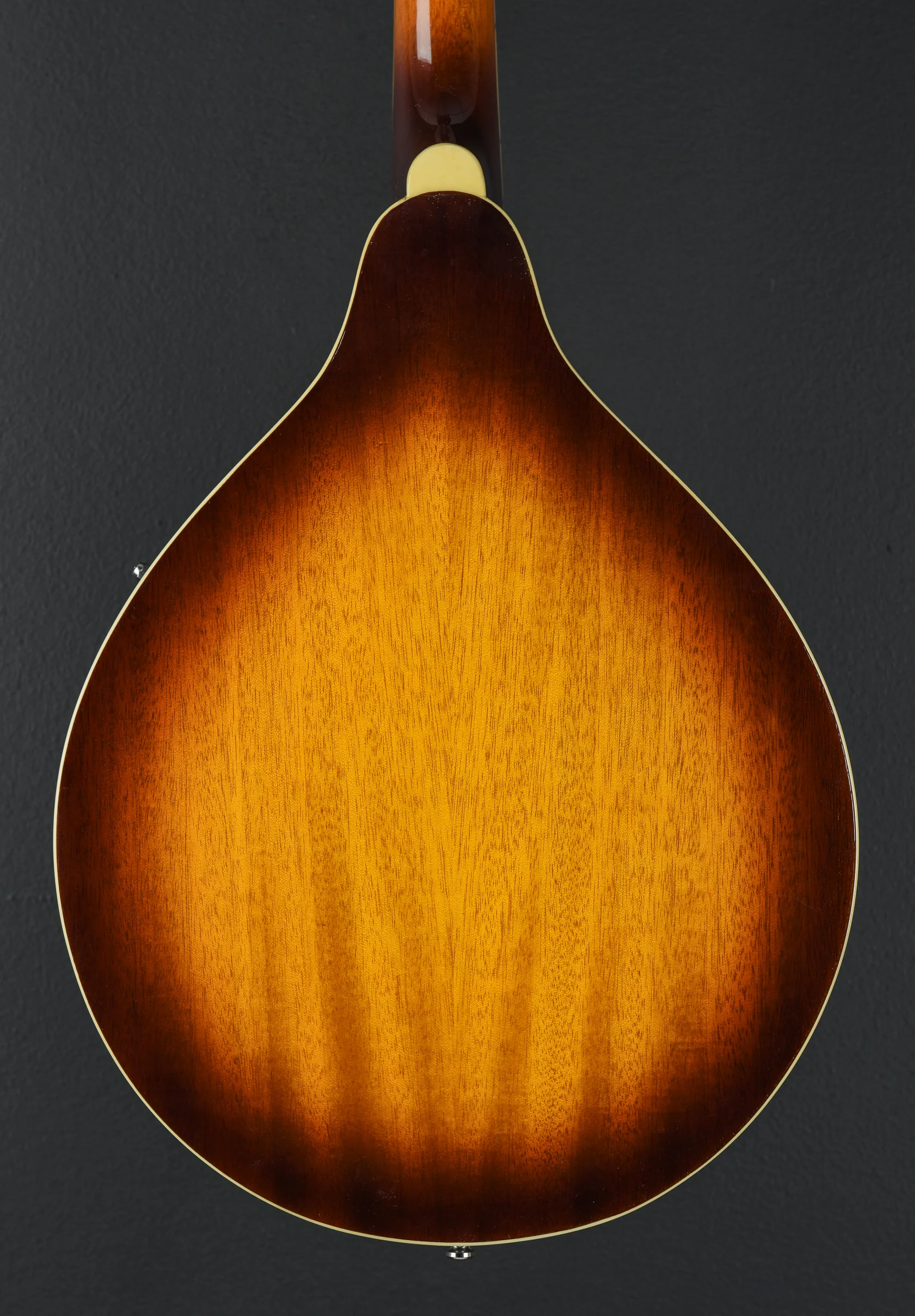 M510-BS Mandolin, Recent - Image 5