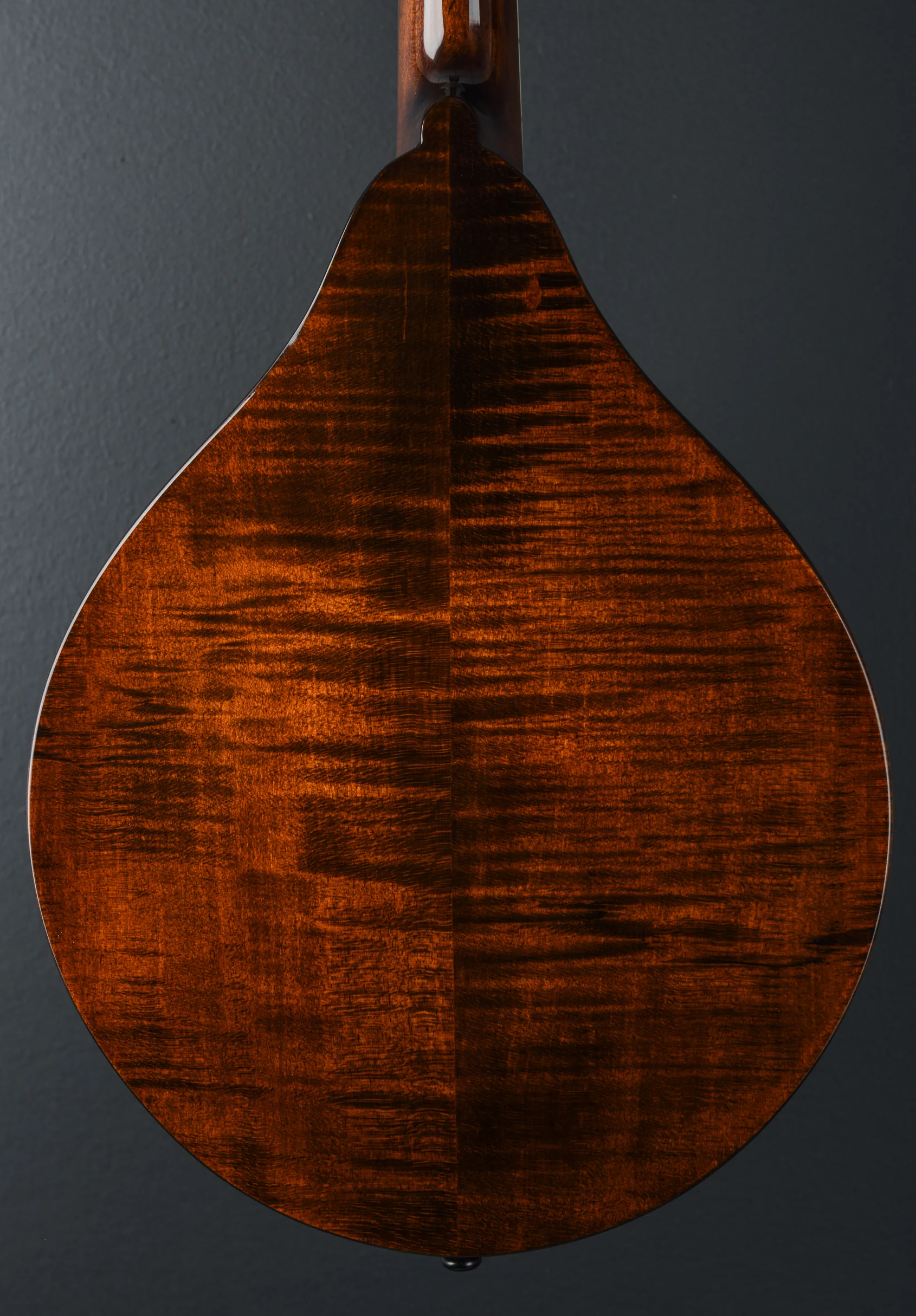 MD505 Mandolin - Image 5
