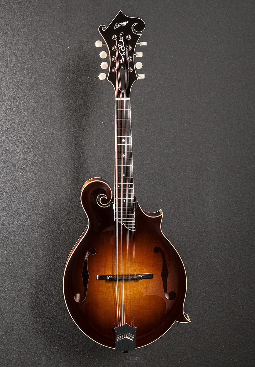 MF5 Mandolin - Image 3