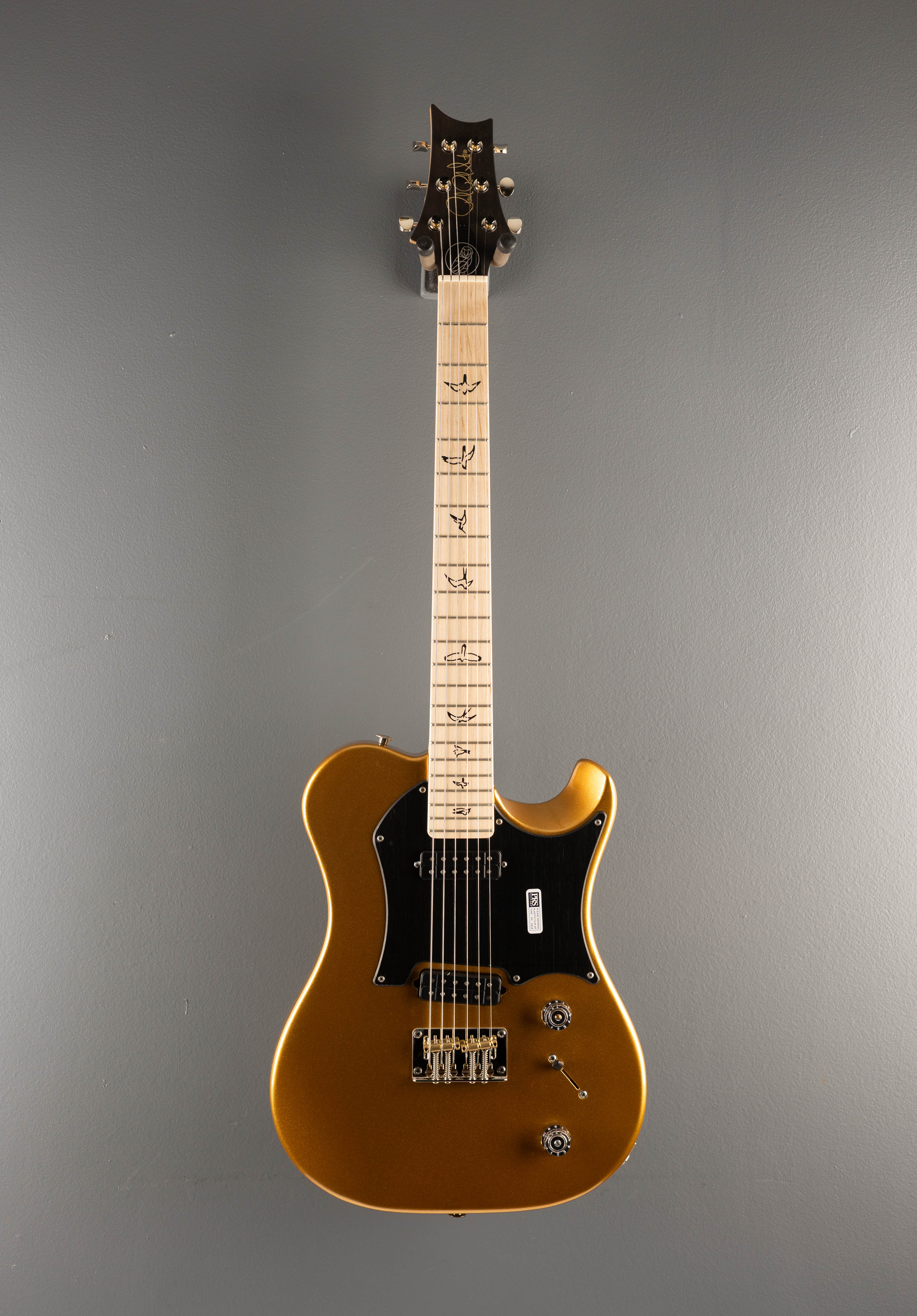 Myles Kennedy - Egyptian Gold Metallic - Image 3