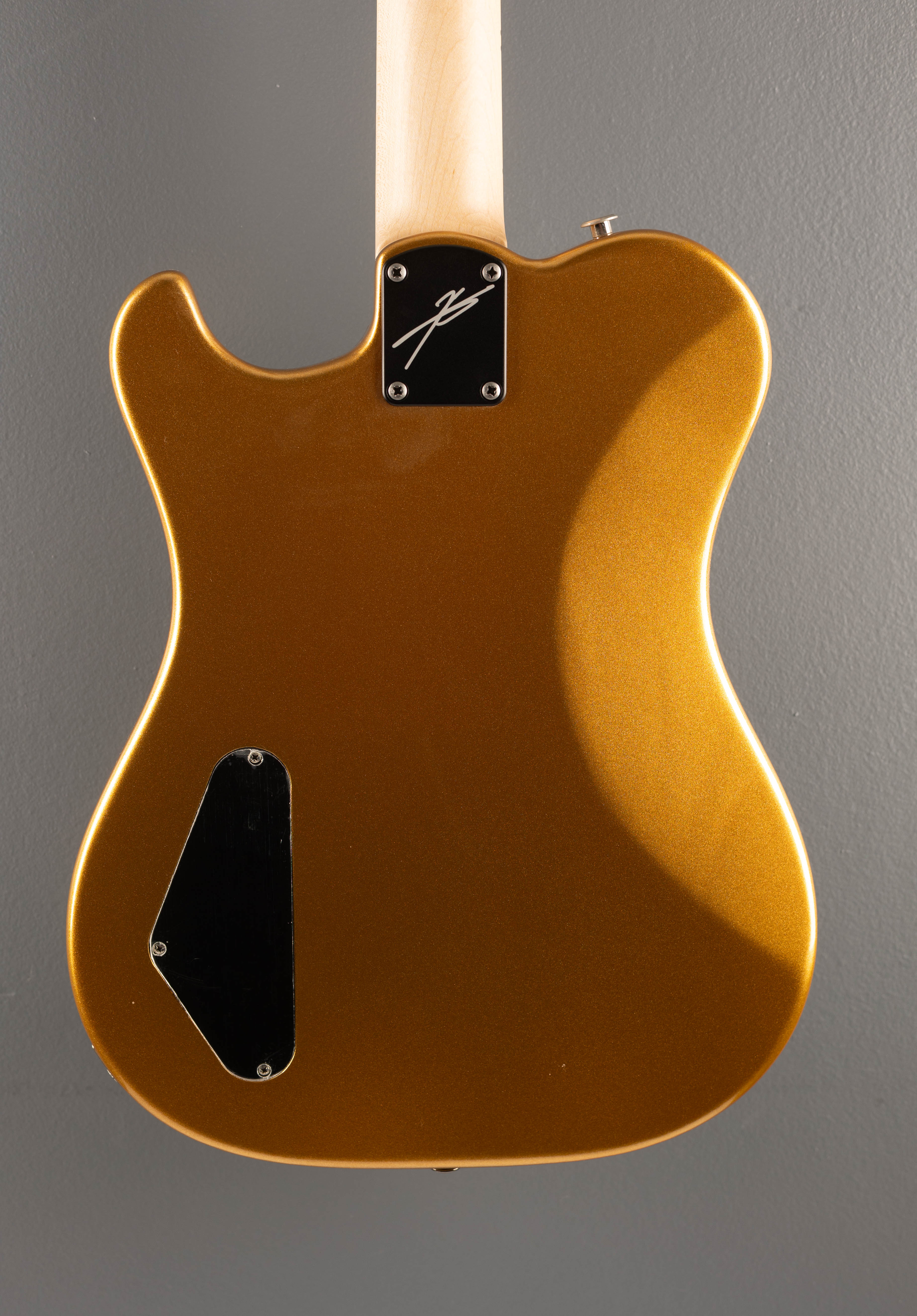 Myles Kennedy - Egyptian Gold Metallic - Image 4