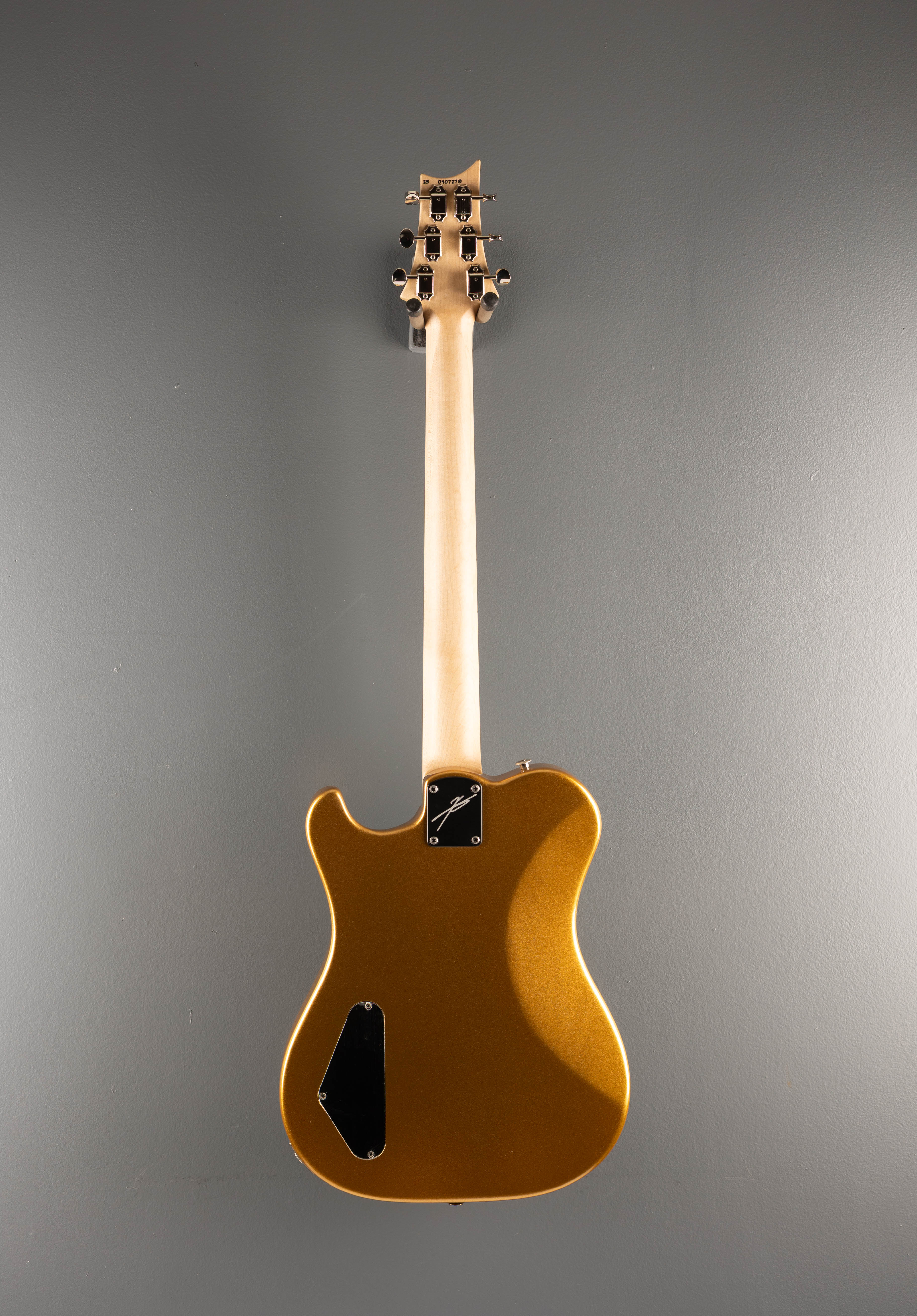 Myles Kennedy - Egyptian Gold Metallic - Image 5