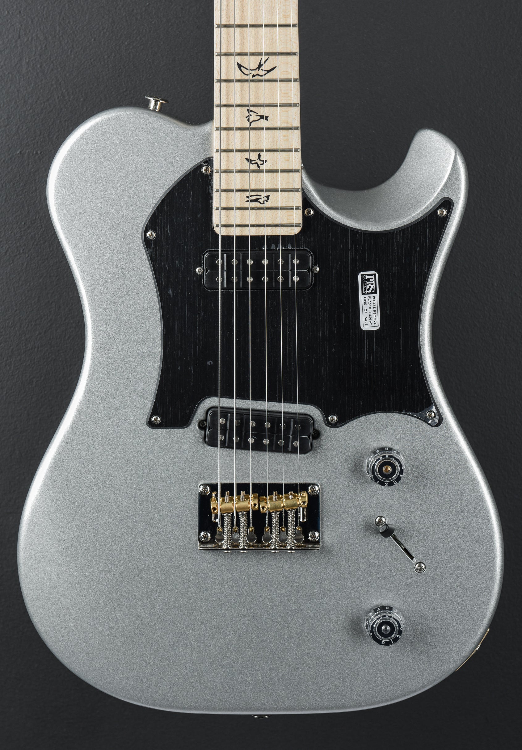 Myles Kennedy - Platinum Metallic - Image 2