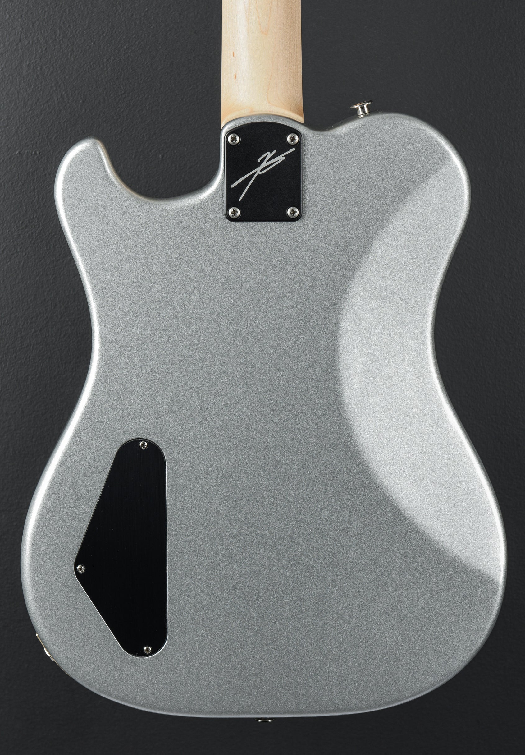 Myles Kennedy - Platinum Metallic - Image 4