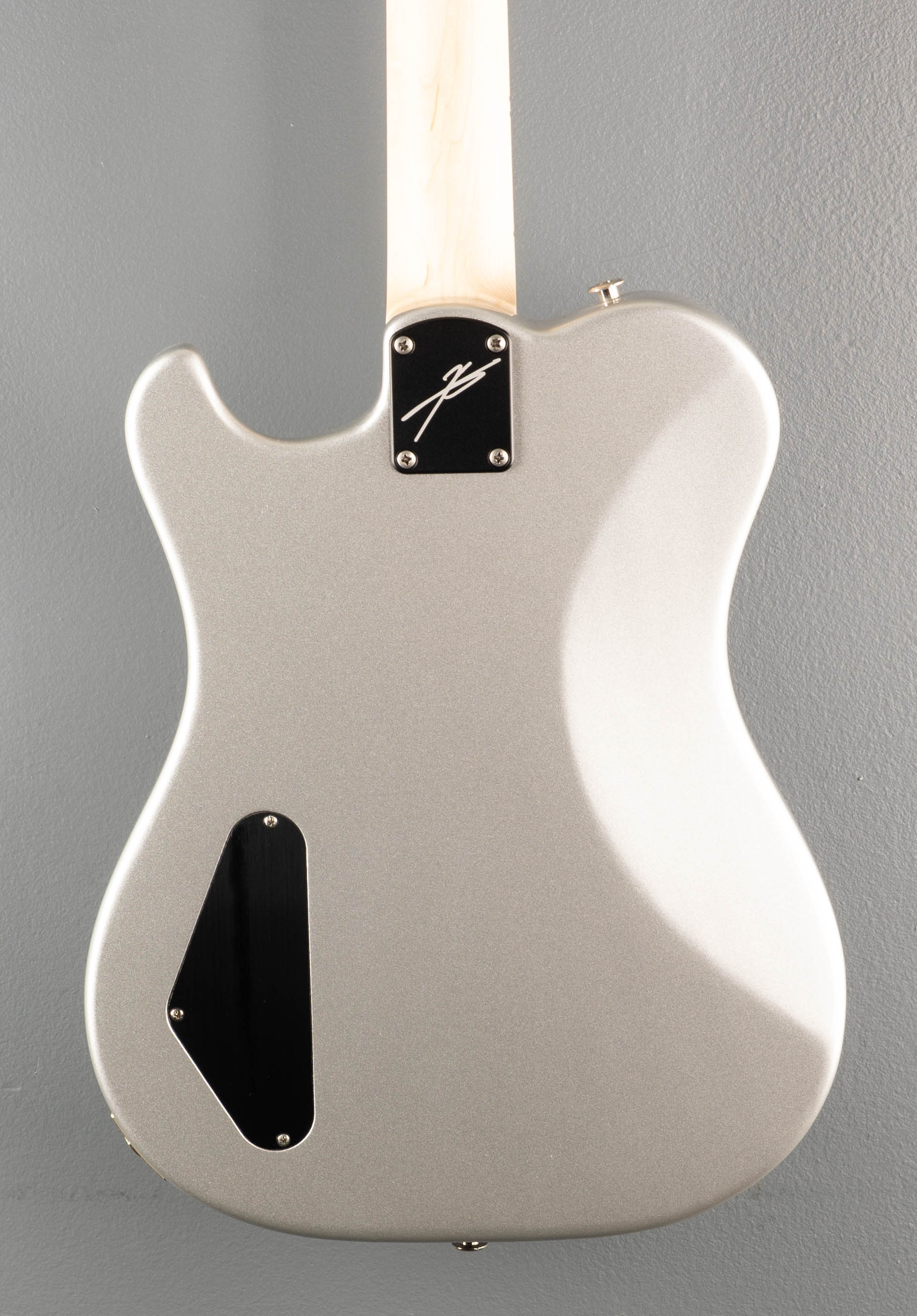 Myles Kennedy - Platinum Metallic - Image 5