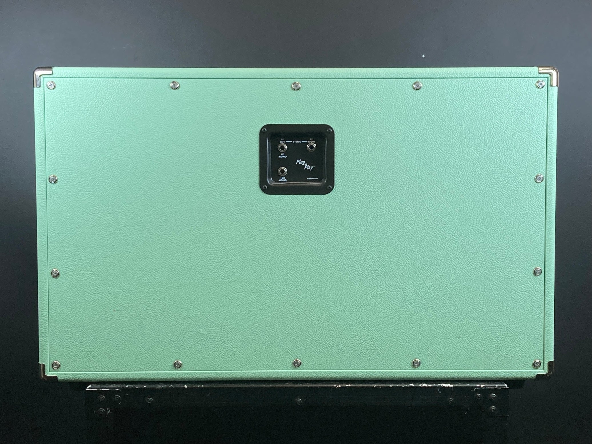 NV 2x12 Cab, Recent - Image 2