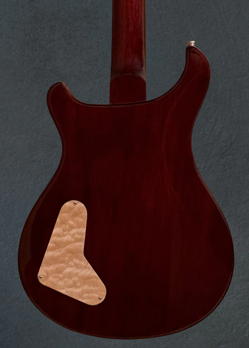 Paul's Guitar '21 - Image 4