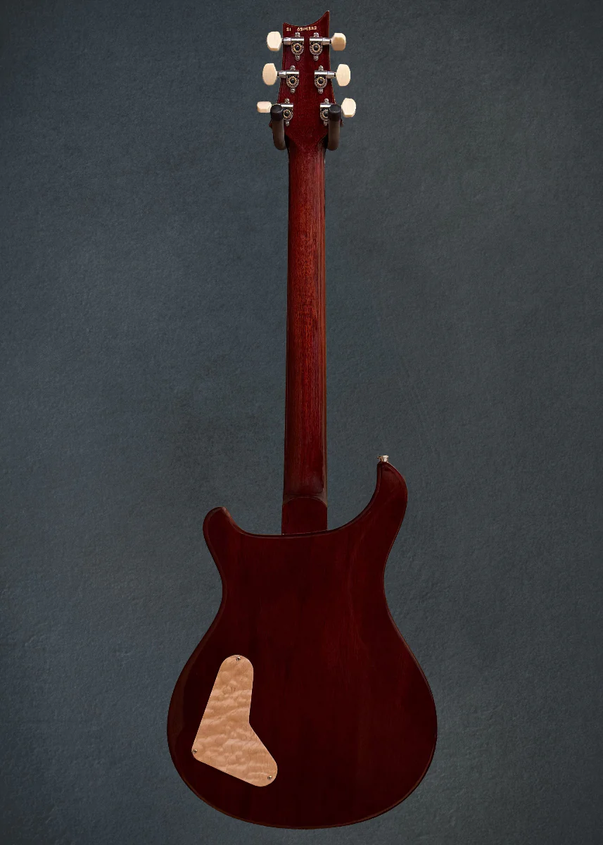 Paul's Guitar '21 - Image 5