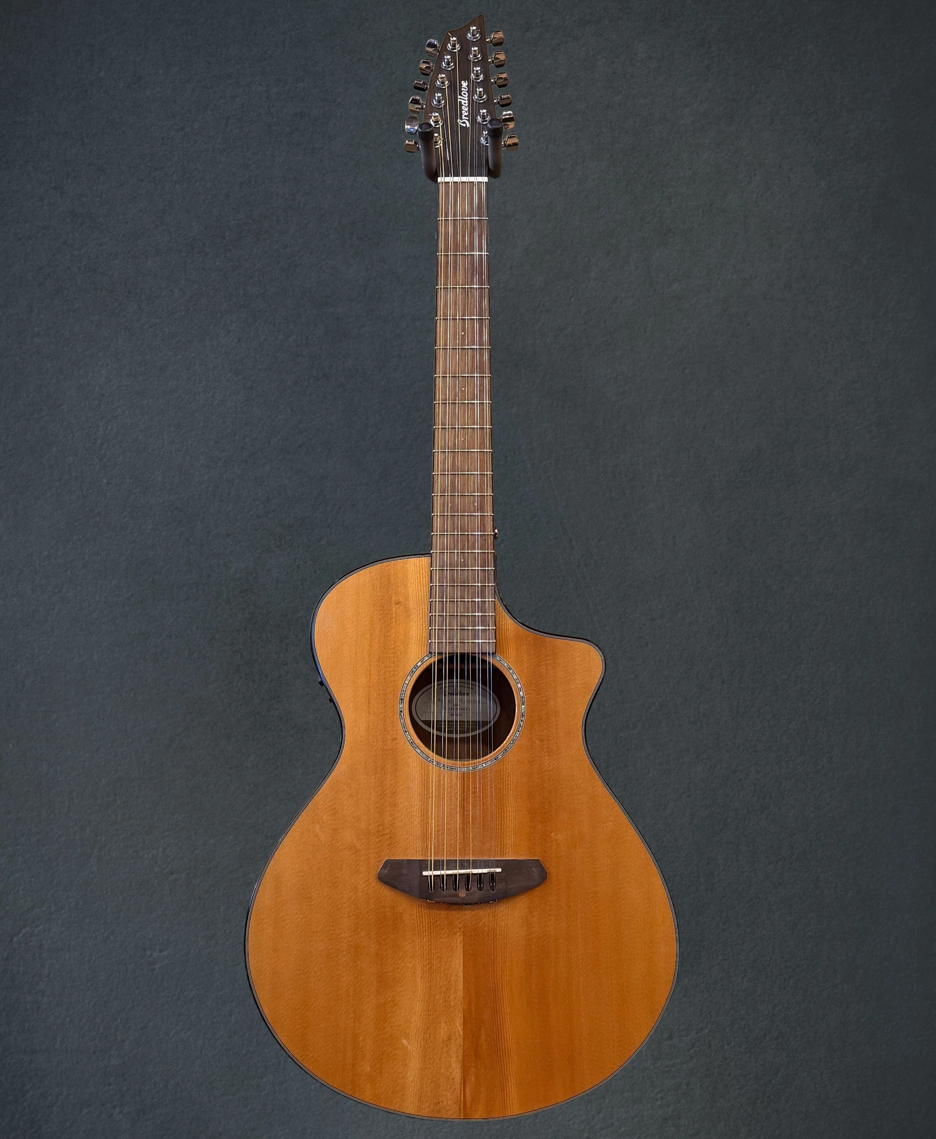 Pursuit 12-String, Recent - Image 3