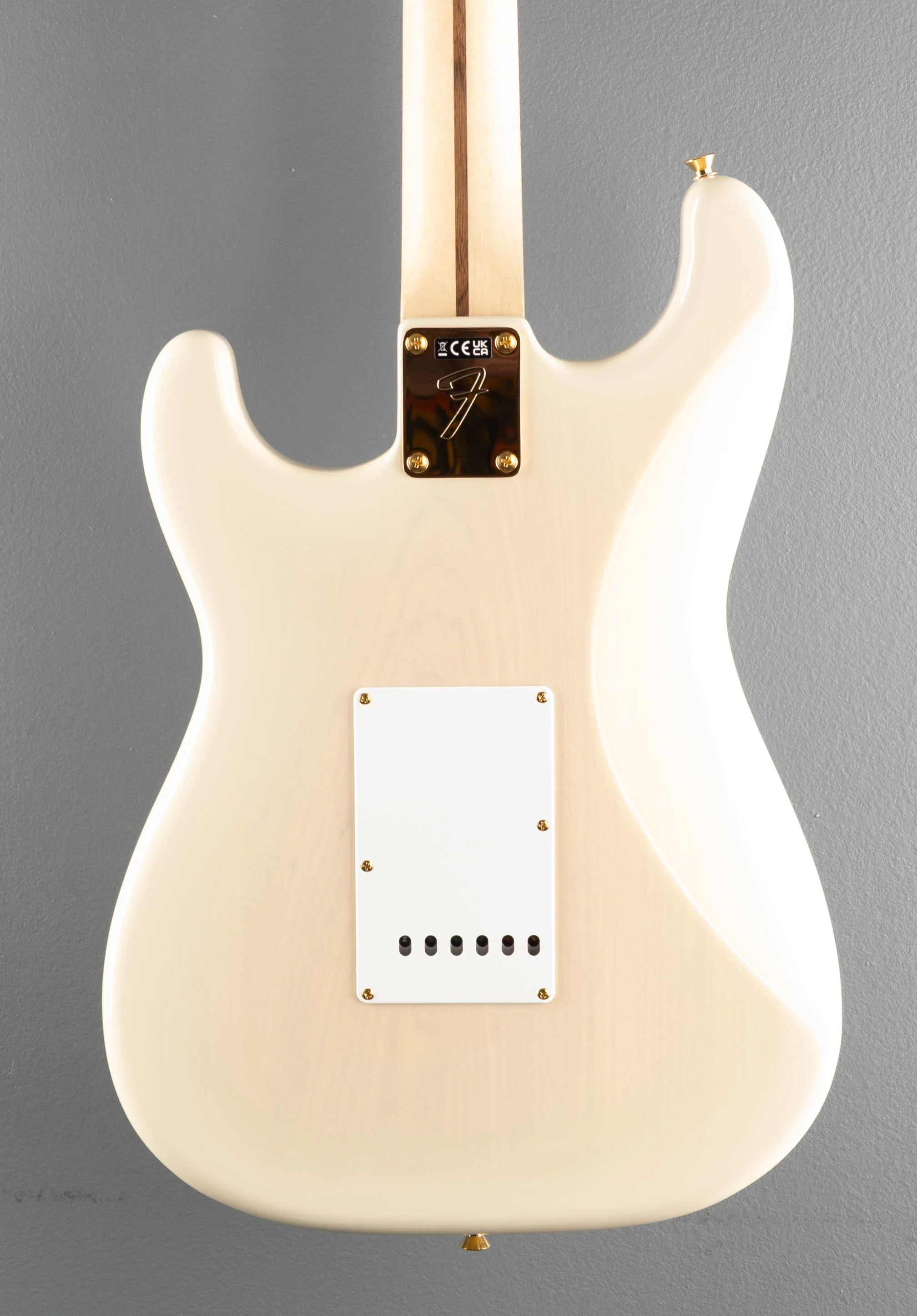 Richie Kotzen Stratocaster - Image 5