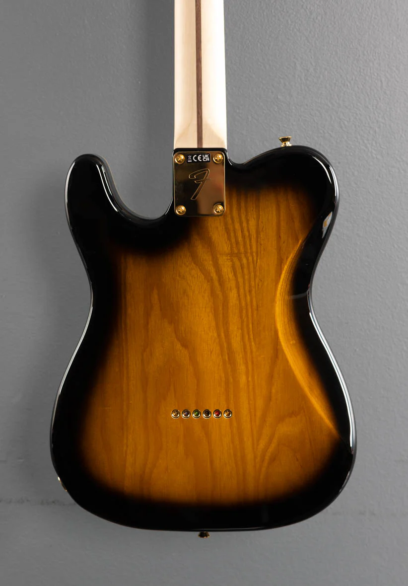 Richie Kotzen Telecaster - Image 4