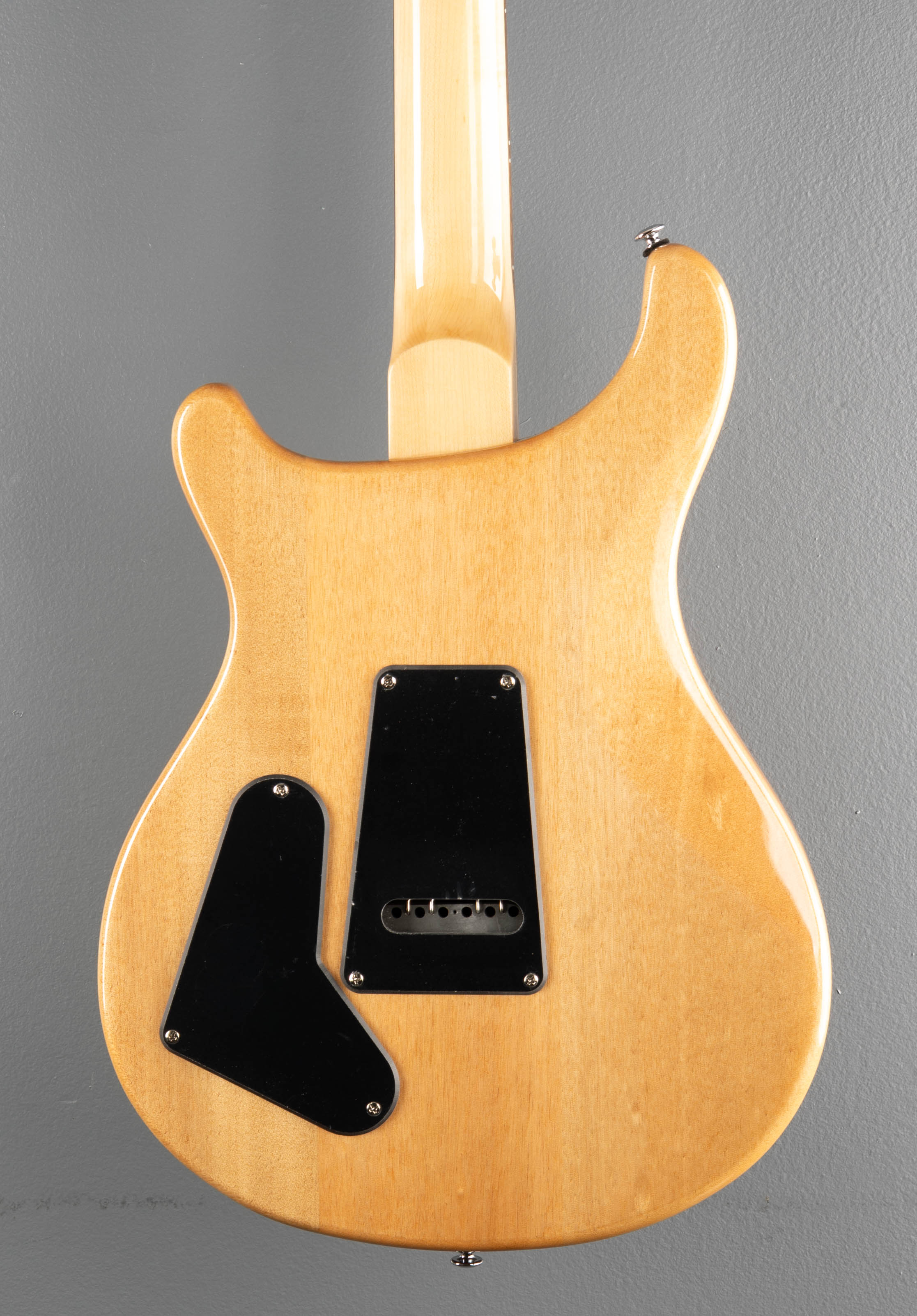 SE Custom 22 Semi-Hollow, '23 - Image 4