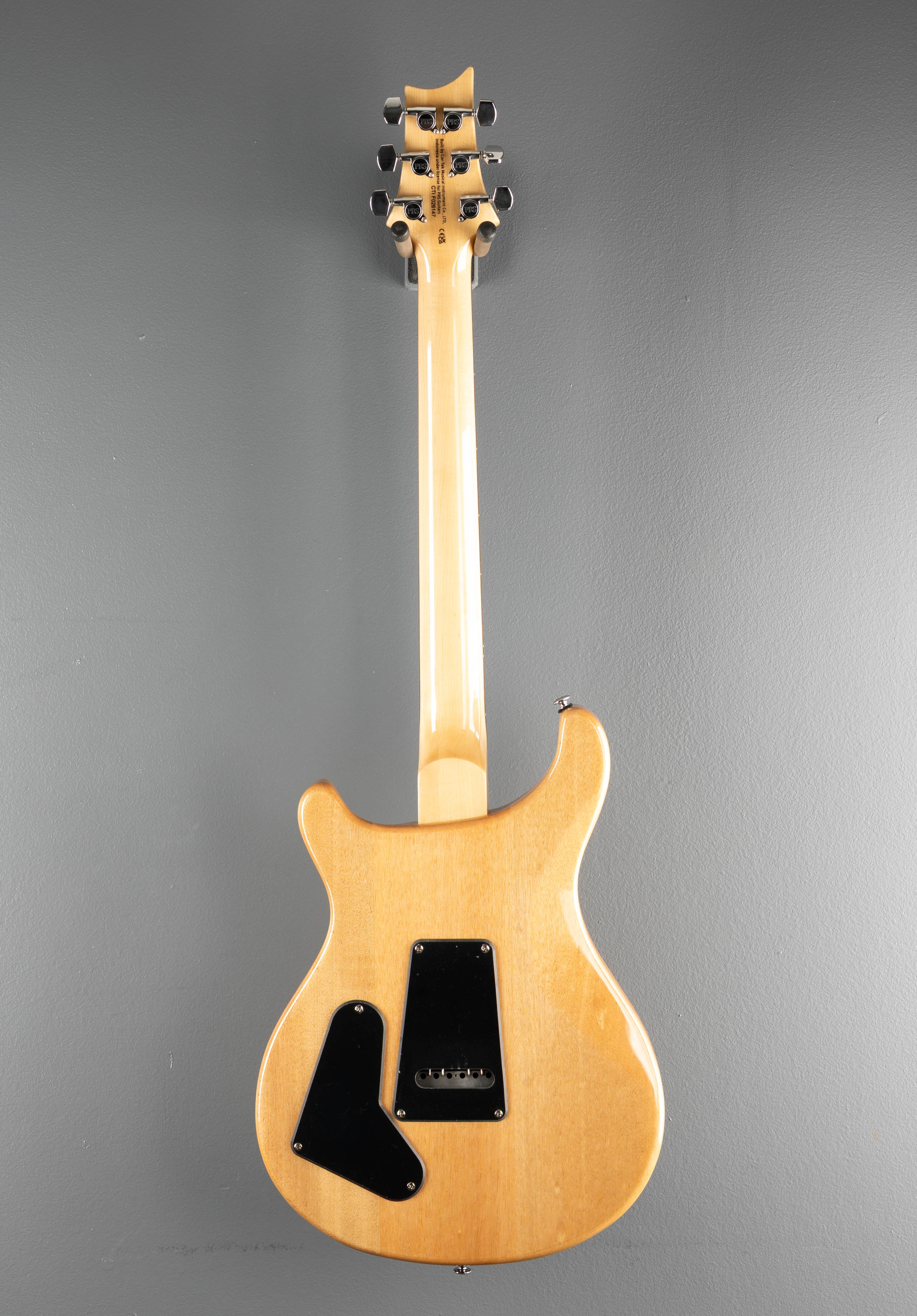 SE Custom 22 Semi-Hollow, '23 - Image 5