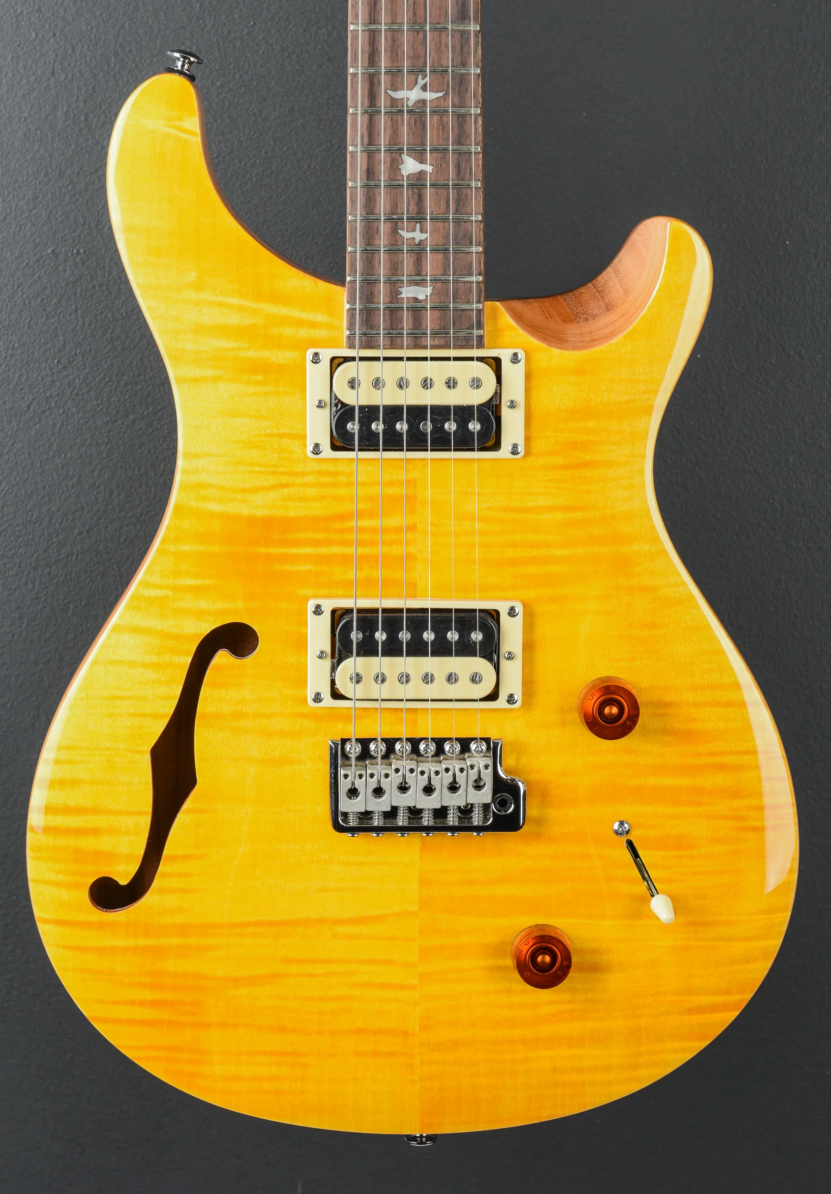 SE Custom 22 Semi-Hollow '22 - Image 2